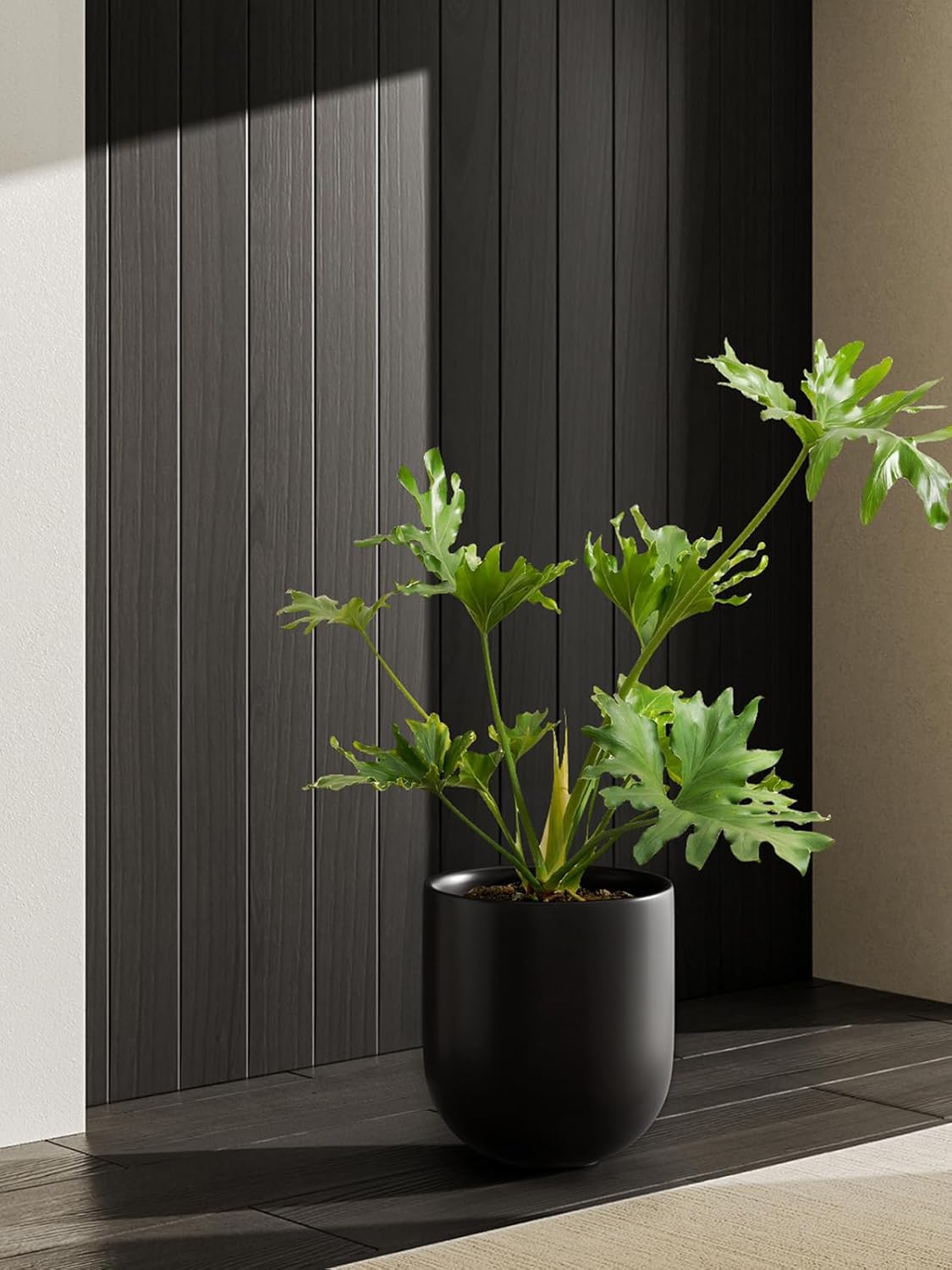 LE TAUCI 10 Inch Plant Pot, Ceramic Pots for Plants with Drainage Hole and Rubber Plug, Plant Pots Indoor for Olive Tree, Cylinder Planter Pot for Home Patio Office, Black