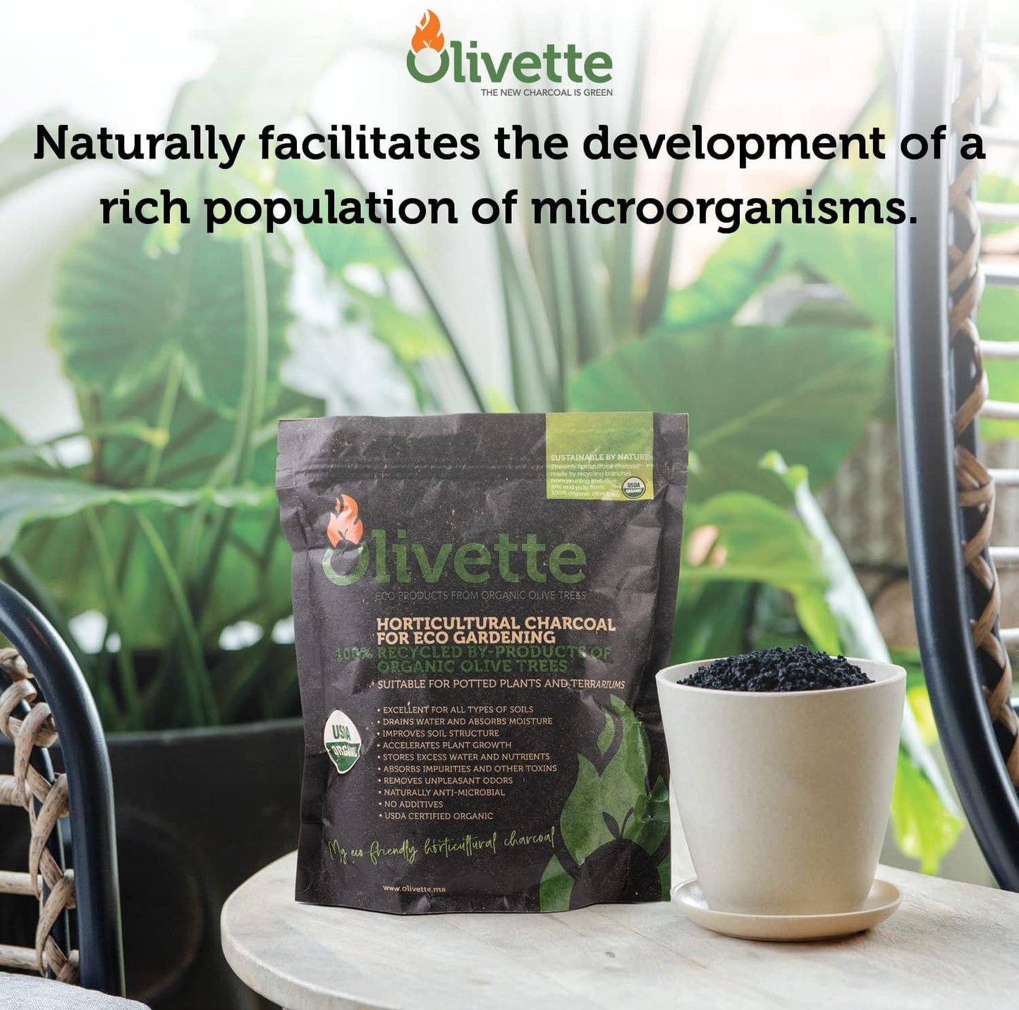 Olivette Horticultural Biochar Activated Charcoal for Plants, USDA Organic Moisture Control for Terrarium Trees & Potted Plants, Eco-Conscious, 3 Bags