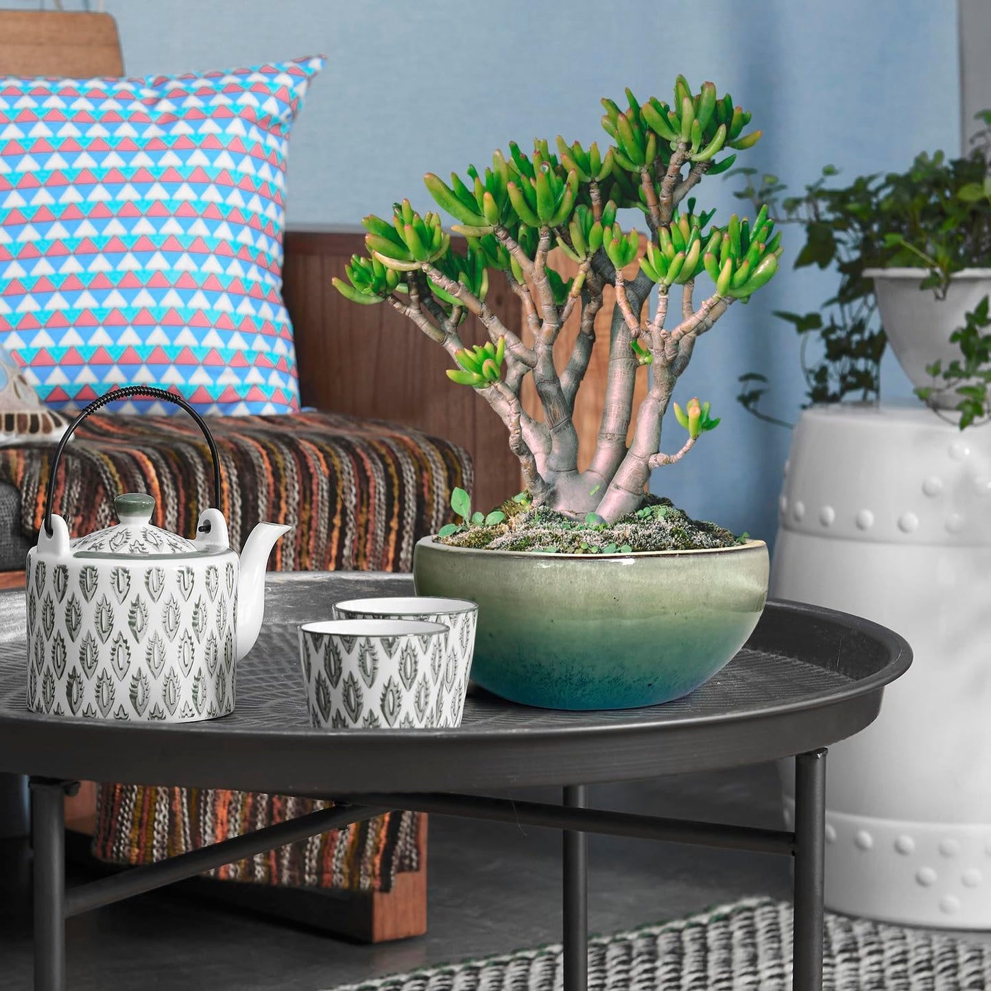 11 9 7 Inch Succulent Pot with Drainage and Mesh Pads Large Round Ceramic Plant Pot for Indoor Outdoor Plants Succulent Planter Cactus Bonsai Pot Container Set of 3 (White Green)