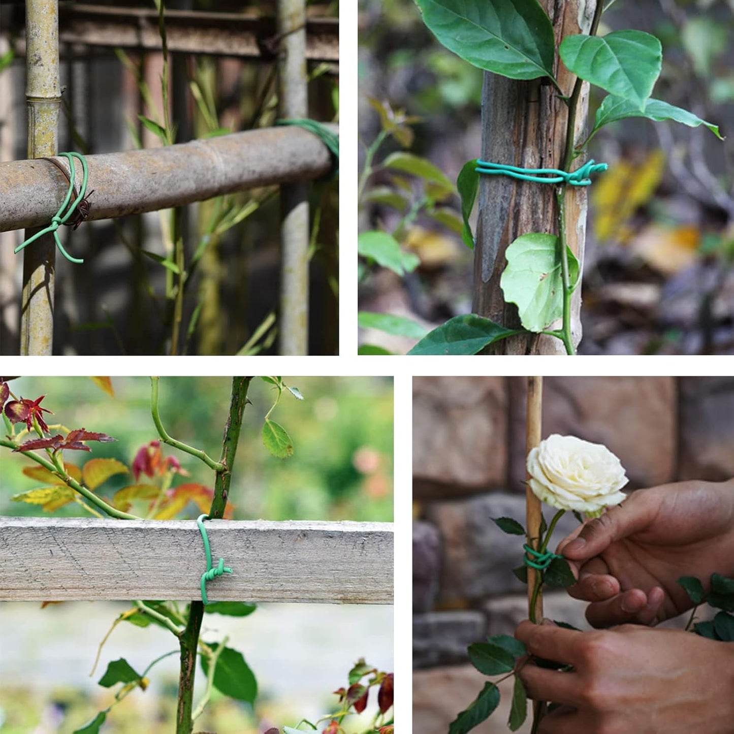 Green Soft Twist Tie Tomato Plant Tie TPR Garden Supply, for Supporting Plants and Home Organizing (65.6 feet/20 Meters)