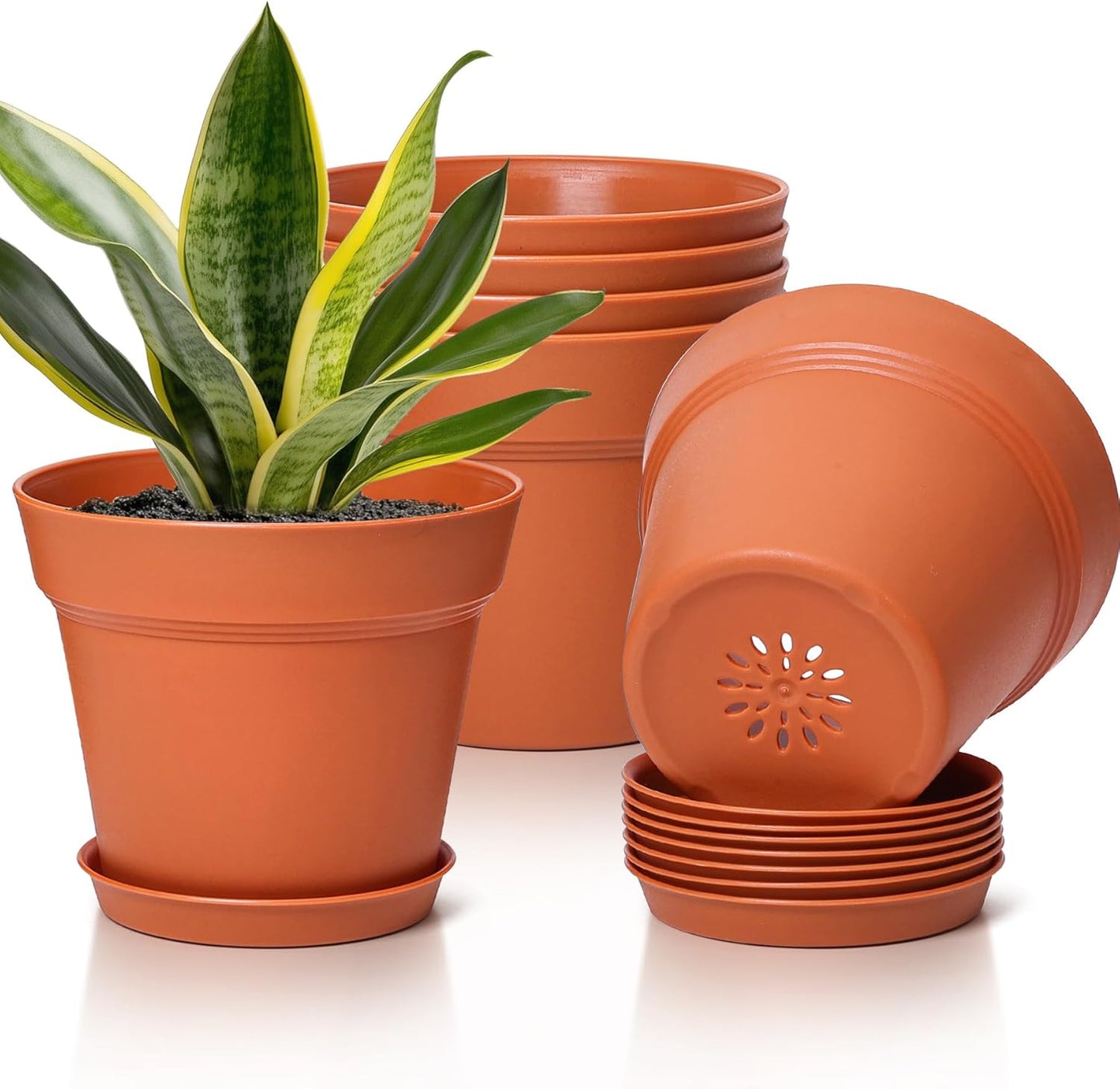 T4U 7.5 Inch Plant Pots 6 Pcs, Flower Pots for Plants, Plastic Planter Pots for Indoor Plants with Drainage Holes and Saucer (6 Pcs, 7.5")