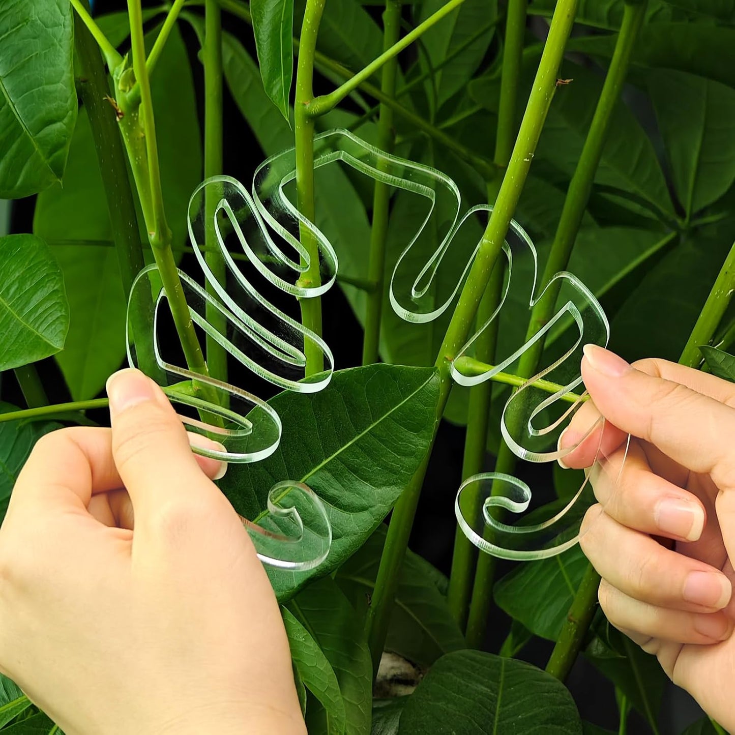 2 Pack Plant Stem Support,Plant Stem Holder, Plastic Monstera Plant Support, Climbing Houseplant Stem Supports Stakes