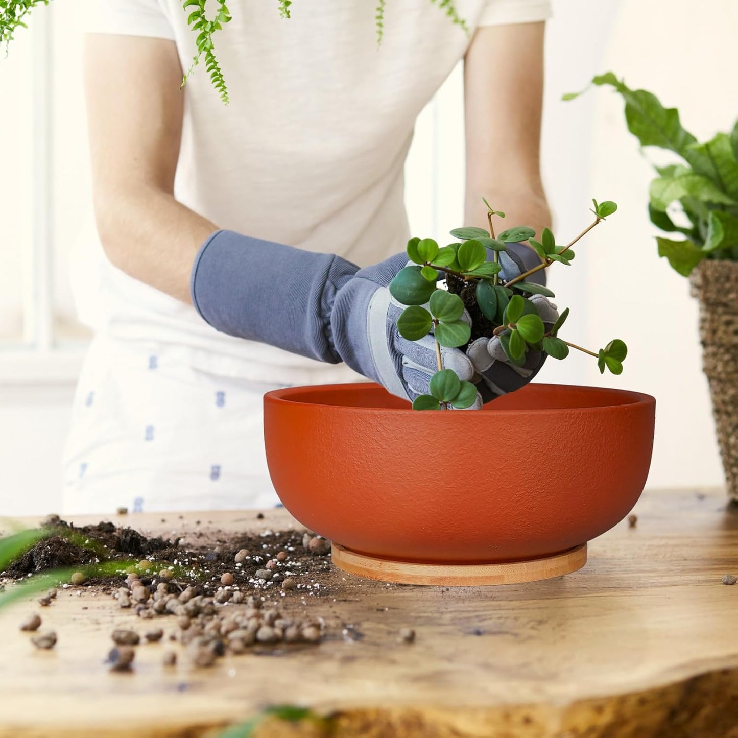 SQOWL 10 Inch Large Terracotta Planter Pot,Clay Succulent Bonsai Planter with Drainage Hole and Bamboo Saucer for Indoor Plants