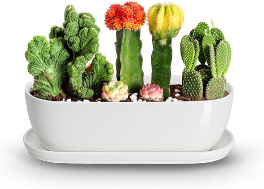 E-liu Oval Ceramic Planter Pot with Drainage Hole Saucers 14 Inch Succulents Planter Home Decor for Indoor Outdoor Plants Herb Cactus with 3 Mesh Pads, Plants Not Included