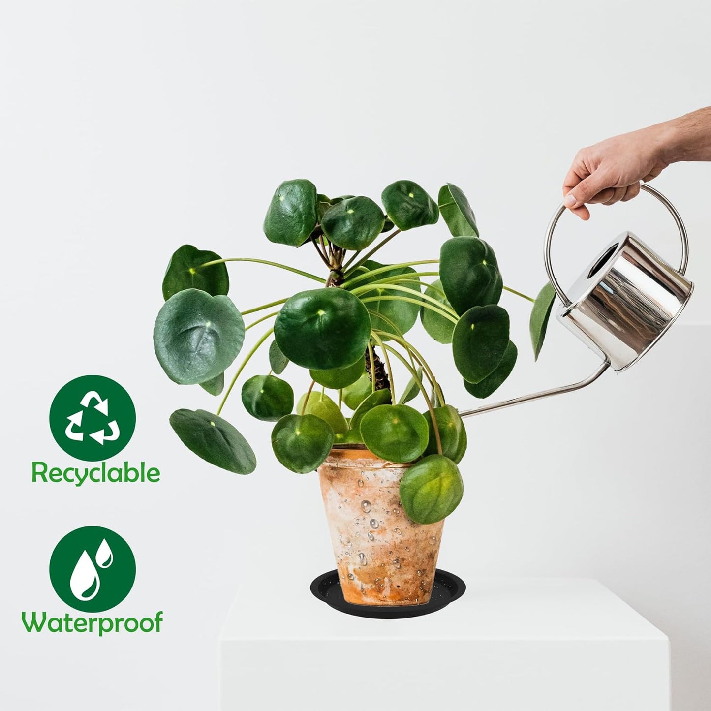 12 Pack 10 Inch Round Plant Saucers for Less 8.4 Inch Pot Indoors Outdoors Plant Trays for Pots Planter Saucer Plastic Plant Drip Tray Planter Water Tray for Potted Plants(Black, 10"(12pcs))