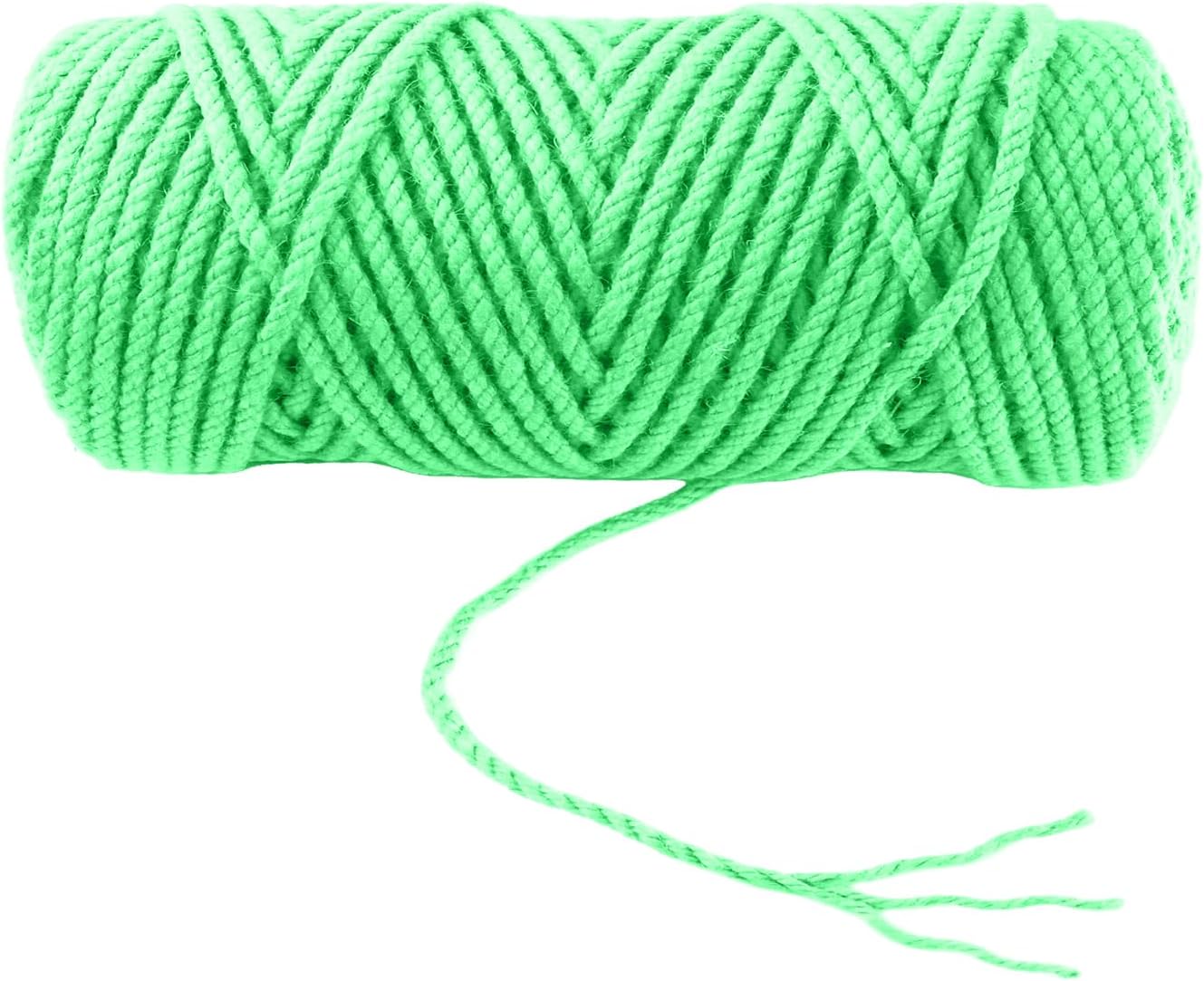 4mm x 100 Feet Light Green Jute Rope, Twine for Gardening Tomato Climbing Plant Tie Floristry Crafts Gift Wrapping Packing Decor