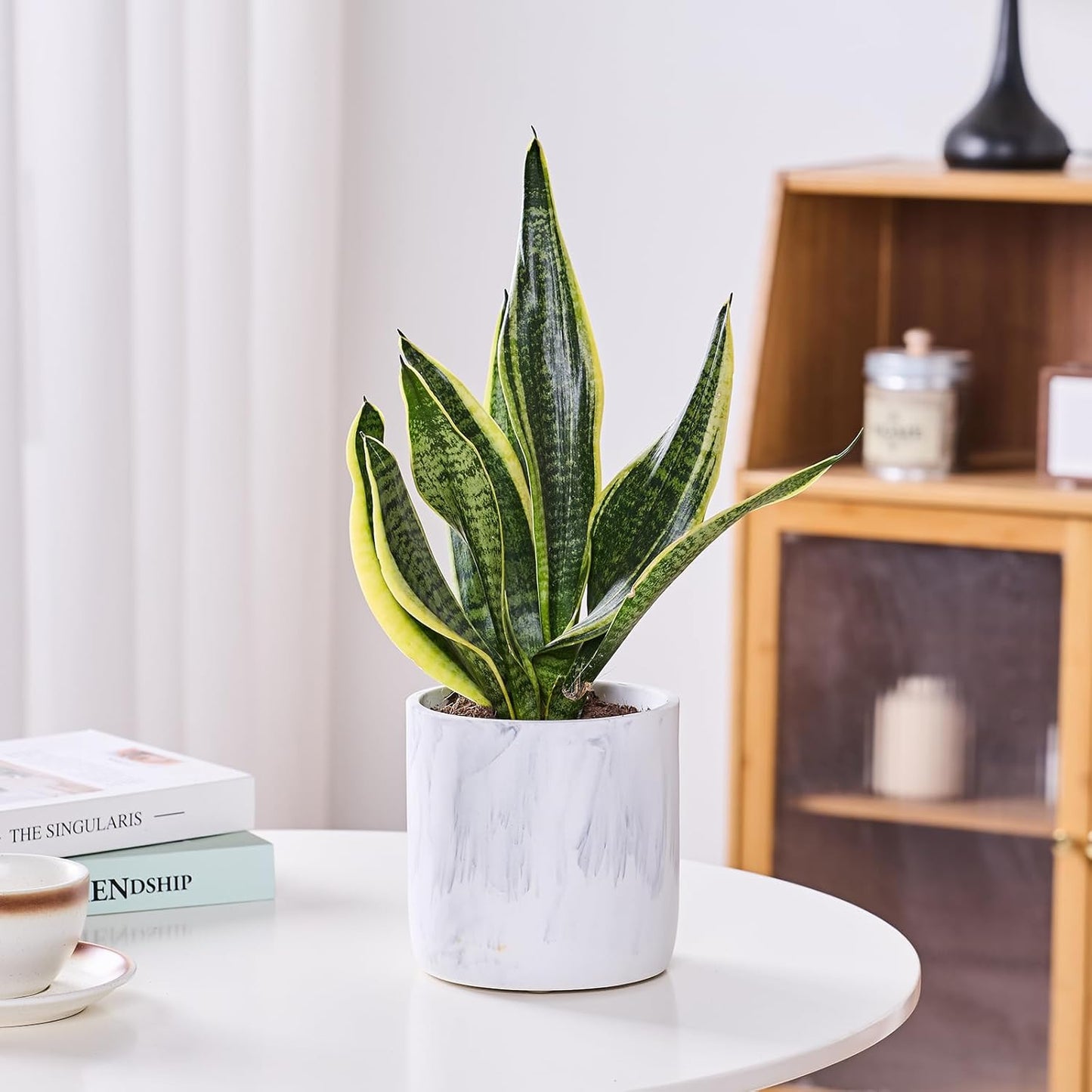 Ekirlin 6 Inch Resin Plant Pot Indoor - Natural Marble Texture Garden Planter with Drainage Hole, Removable Rubber Stopper and Non-Slip Soft Pad, Modern Succulents Containers for Home, Outdoor