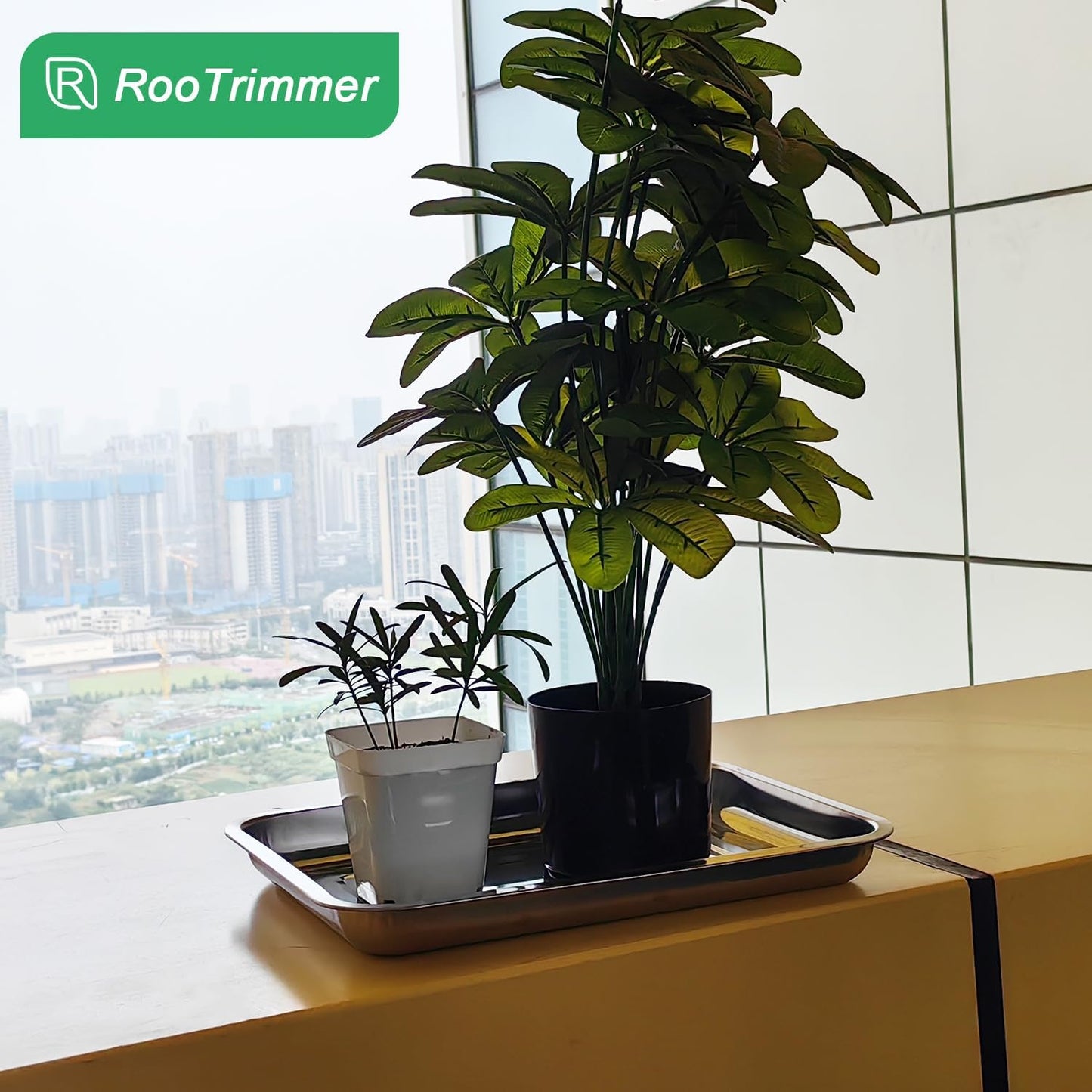 Stainless Metal Trays, Stainless Steel Seed Starter Carry Tray Fit 54 Cell Plug Tray, Nursery Seedling Pots Water Collection Transplantation (11.6 inch×15.2 inch, 1.45" Height, 10-Pack)