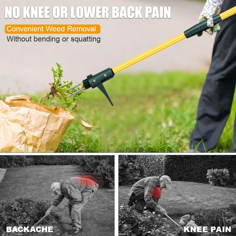 Weed Puller Tool, 50IN Long Handle 3 Claws Stand Up Weeder, Extra Thickened Stainless Steel Shaft Garden Weeding Tool,Remove the Roots of Thistles, Crabgrass, Dandelions, and Blackberries, etc.