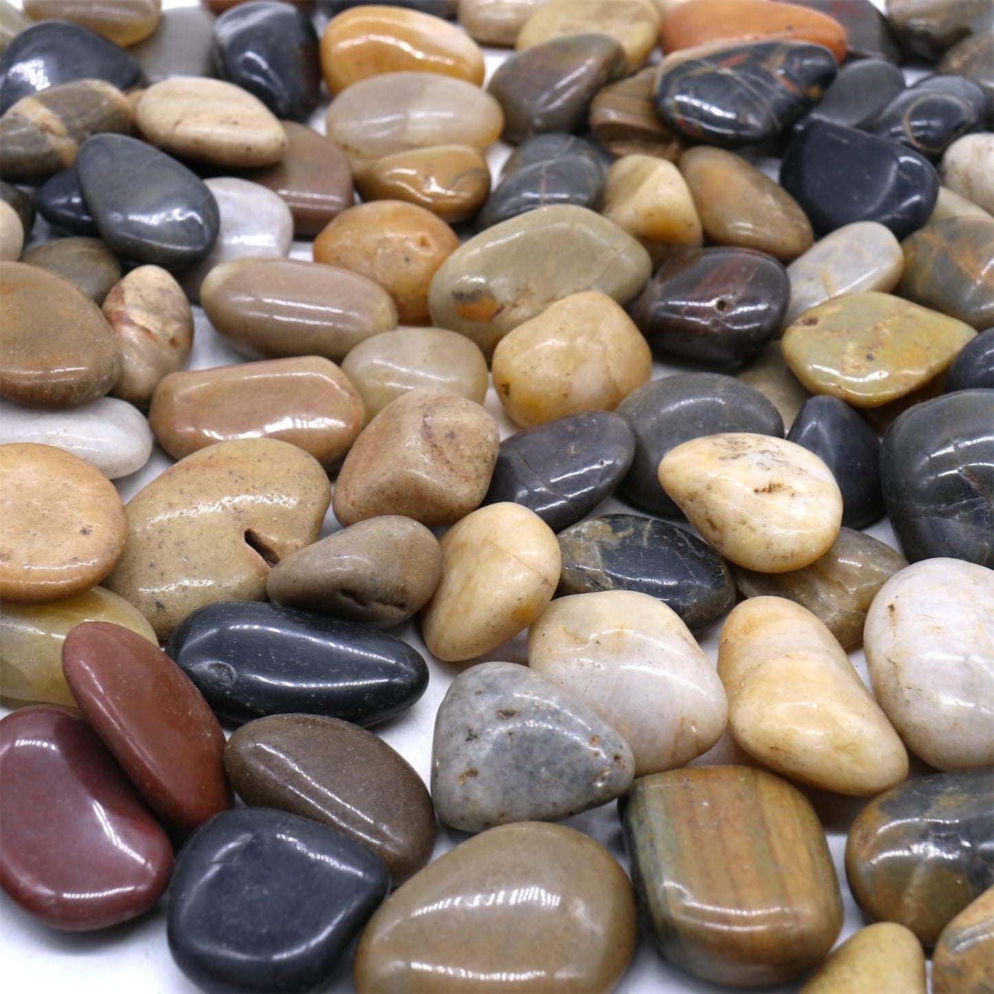 Rocks for Plants. Mixed Colors Decorative Polished Pebbles. 1 to 2 Inch – 10 lbs for Plants, Garden, Landscaping, Succulents, pots (MD (1 to 2 Inch), Mixed Color - Polished, 10)