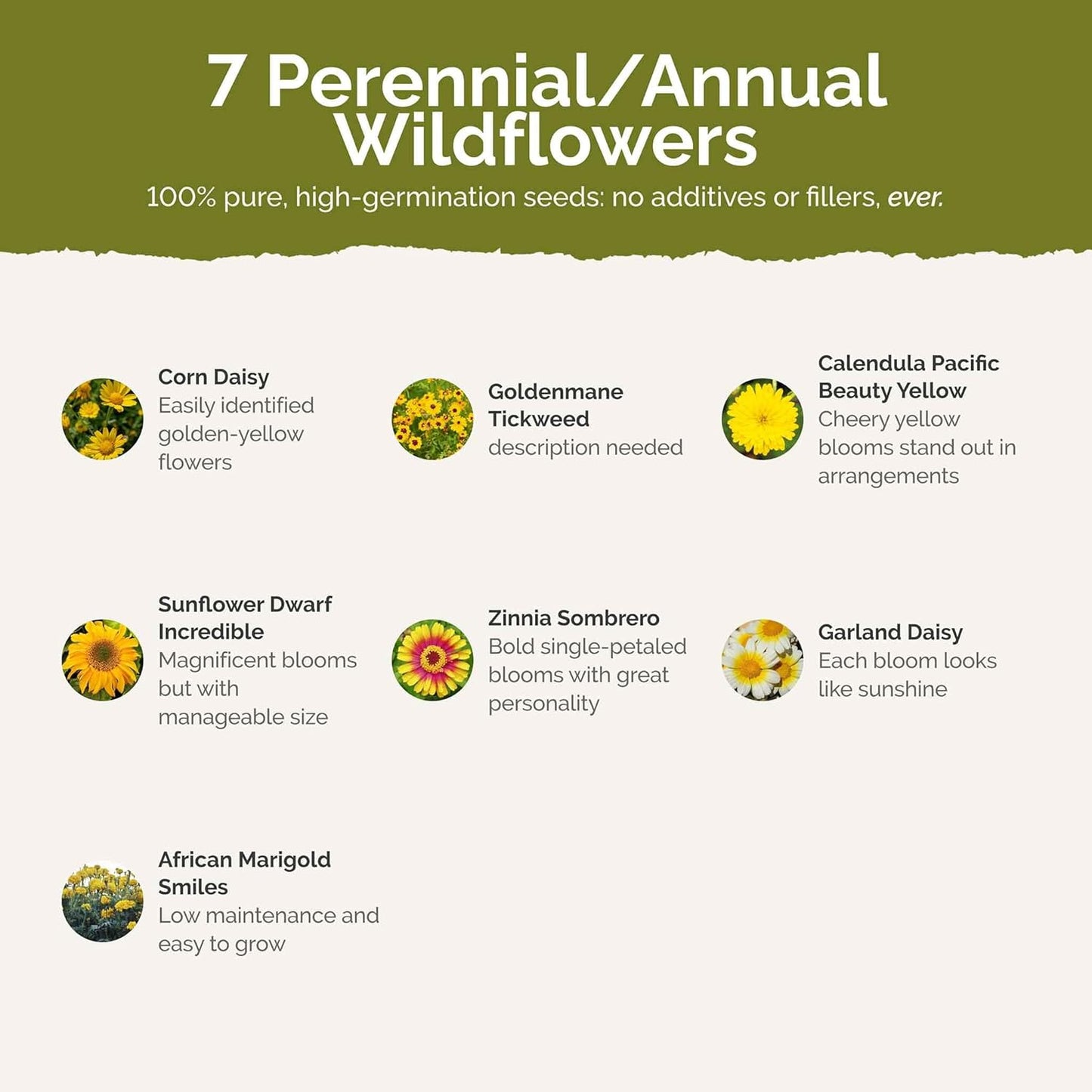 Eden Brothers Mellow Yellow Flower Mixed Seeds for Planting, 1/4 lb, 120,000+ Seeds with Painted Daisy, Zinnia, Cosmos | Attracts Pollinators, Plant in Spring or Fall, Zones 3, 4, 5, 6, 7, 8, 9, 10