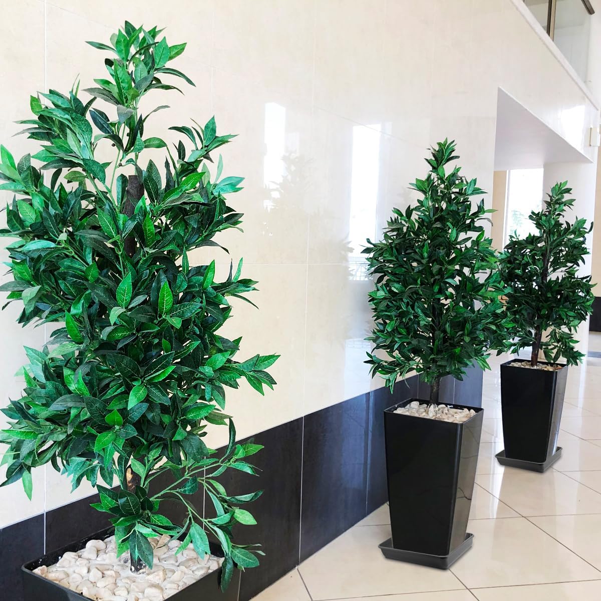 WAYNHUI Squared Plant Saucer 6/8/10/12/14/16/18/20inches Square Plastic Basin Tray Large/Small Water Receiving Tray (Black 10inch 5pack)