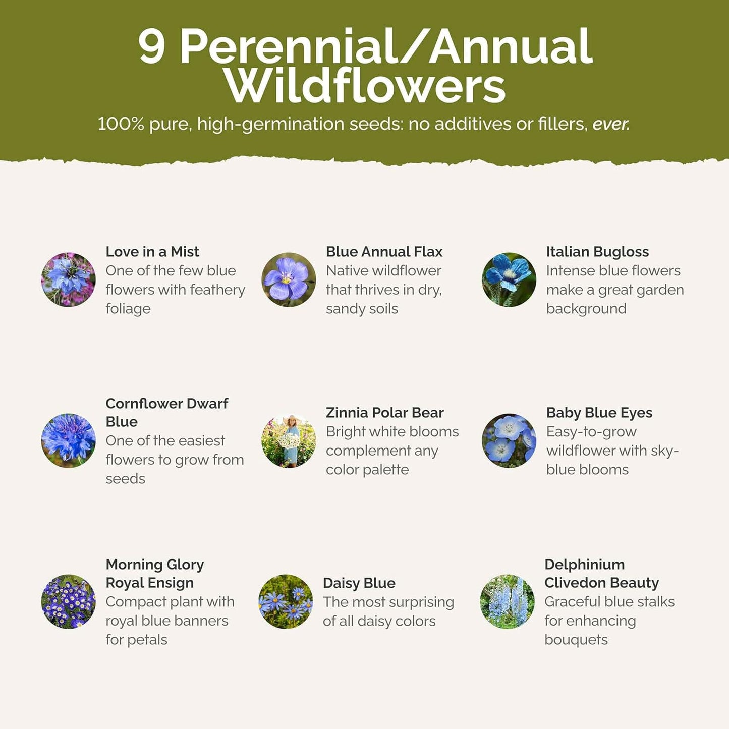 Eden Brothers Blue Ribbon Flower Mixed Seeds for Planting, 5 lb, 2,400,000+ Seeds with Blue Bell, Cornflower Blue, Chicory, Attracts Pollinators, Plant in Spring or Fall, Zones 3, 4, 5, 6, 7, 8, 9, 10