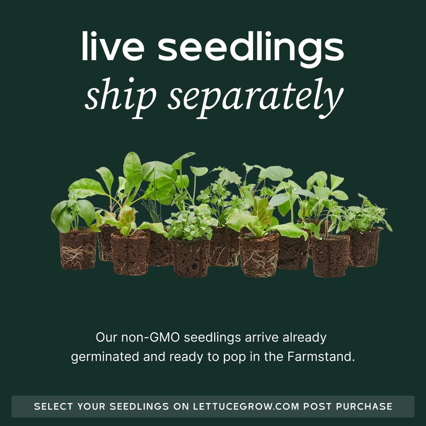 Farmstand Starter Kit + 12 Seedling Credits | Tiny Hydroponic Growing System Kit | Self-Watering Outdoor Vertical Garden Planter Tower | 3ft 8in | Made in USA