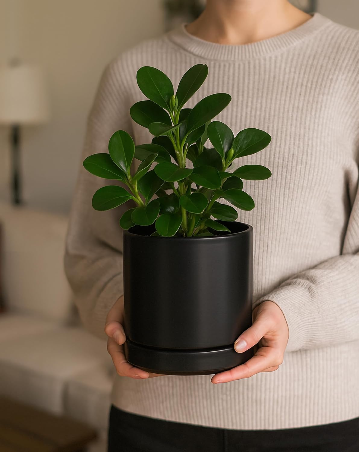 D'vine Dev 6.5 Inch Ceramic Planter Pot with Drainage Hole and Saucer, Indoor Cylinder Round Flower Pot, Black, 94-O-C-2