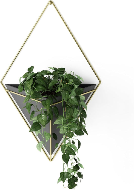 Umbra Trigg Hanging Planter Vase Wall Decor, Pot and Container for Succulents, Cactus, Faux Plants, and More, Large, Black/Brass