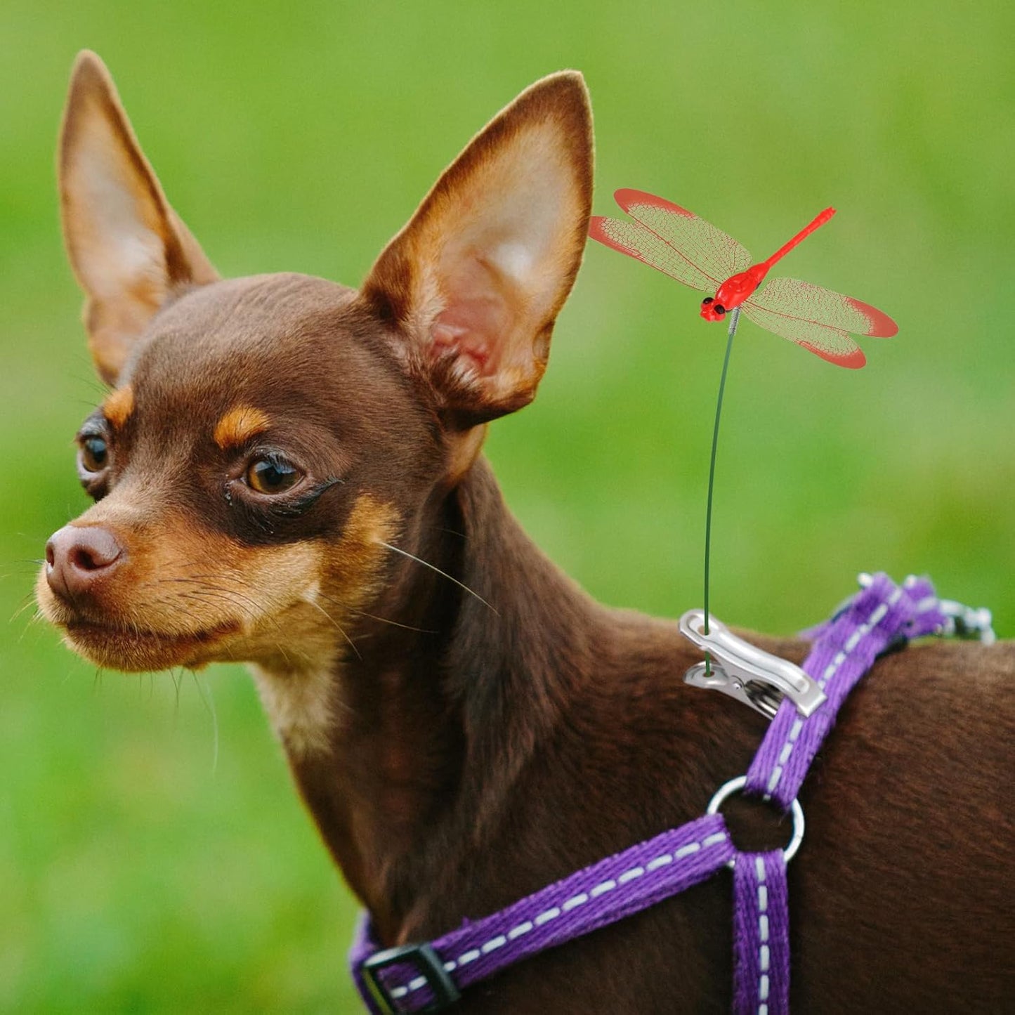 NiHome 15PCS Decorative Dragonflies with 10 Clips Decor for Garden, 9.8" Long Multicolor Waterproof Outdoor & Indoor Use, Versatile Clip-On Plant Decoration, Includes Pliers for Easy Attachment