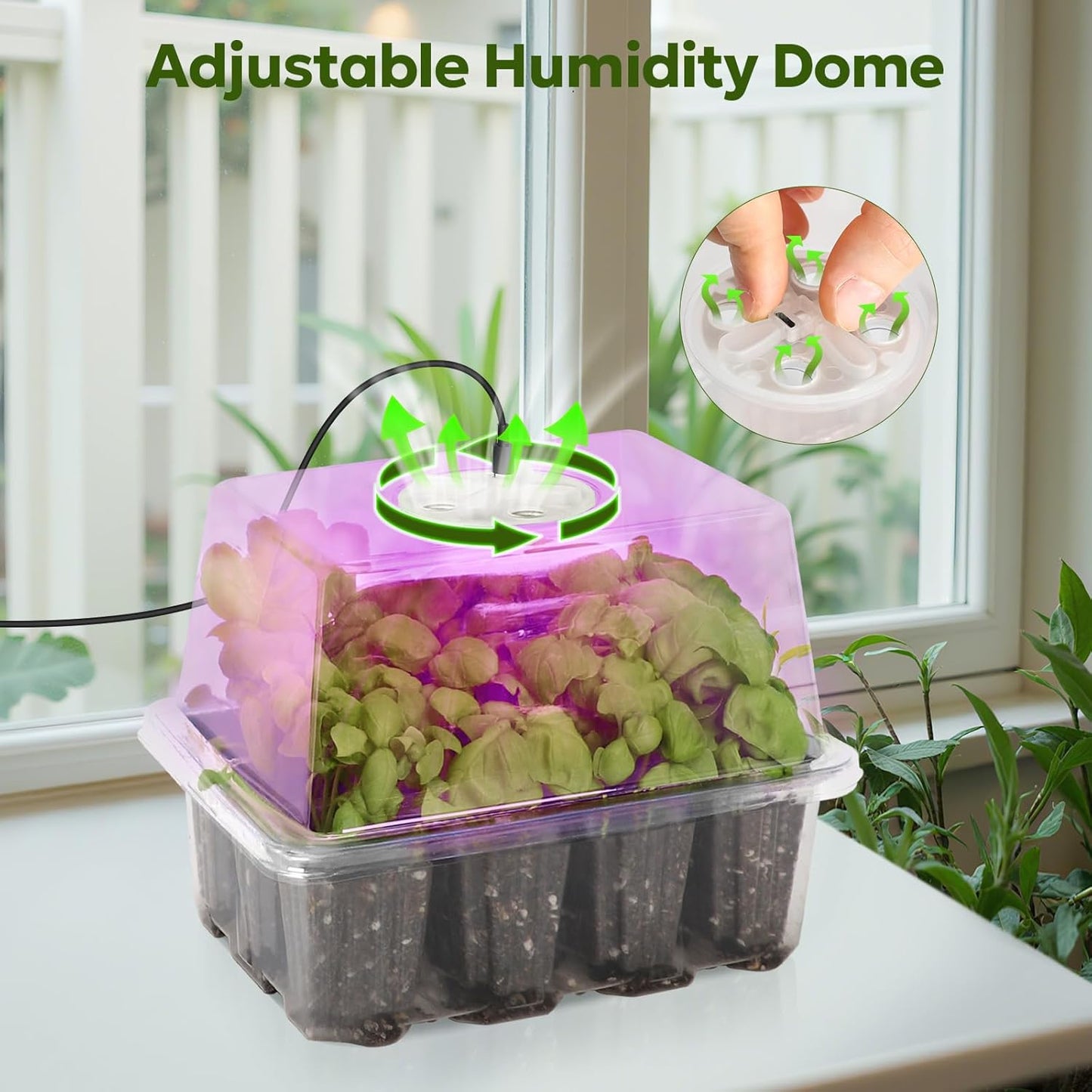 MIXC Seed Starter Kit with Grow Light, Elevated Seedling Tray Kit with Adjustable Humidity Dome and Clear Cell Tray, 12 Full Spectrum Led Beads for Seed Starting Greenhouse, 4 Pack, Transparent