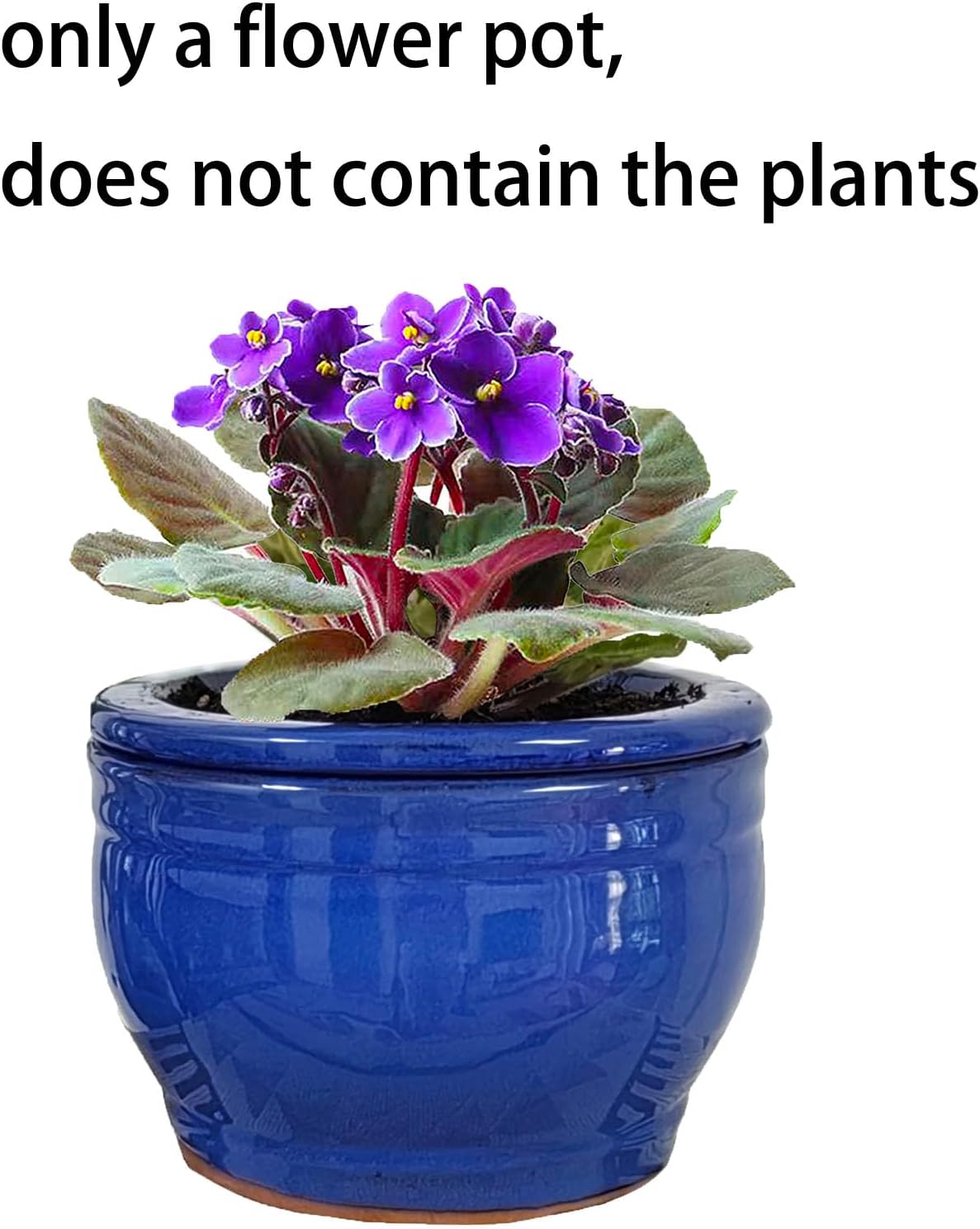 African Violet Pots Self Watering Round Ceramic Violet Pot (Blue, 6 inch)