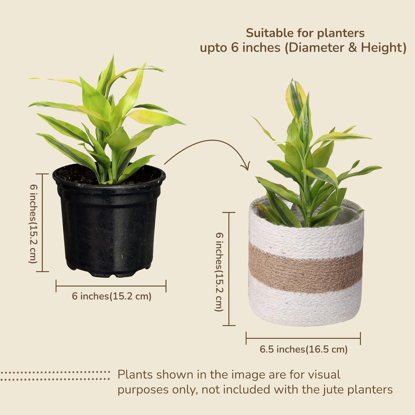 Jute Planter Basket -Sustainable Woven Rope Covers for Decorating Indoor/Outdoor Plants Pots 6.5x6.5x6 Inches Ideal Size for 6" Planter-Multi-Purpose Storage Set of 2 White & Natural Jute