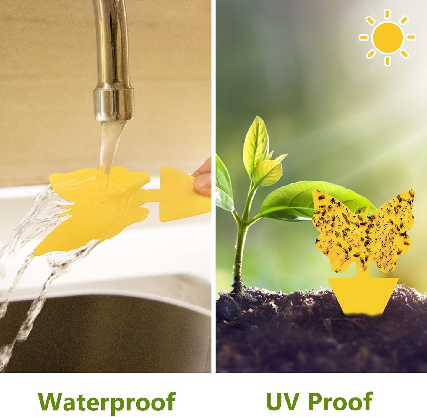 40 Pack Fungus Gnat Traps for House Indoor, Fungus Traps Fruit Fly Traps for Indoors Gnats Sticky Traps for Plants Yellow Sticky Traps for Gnats