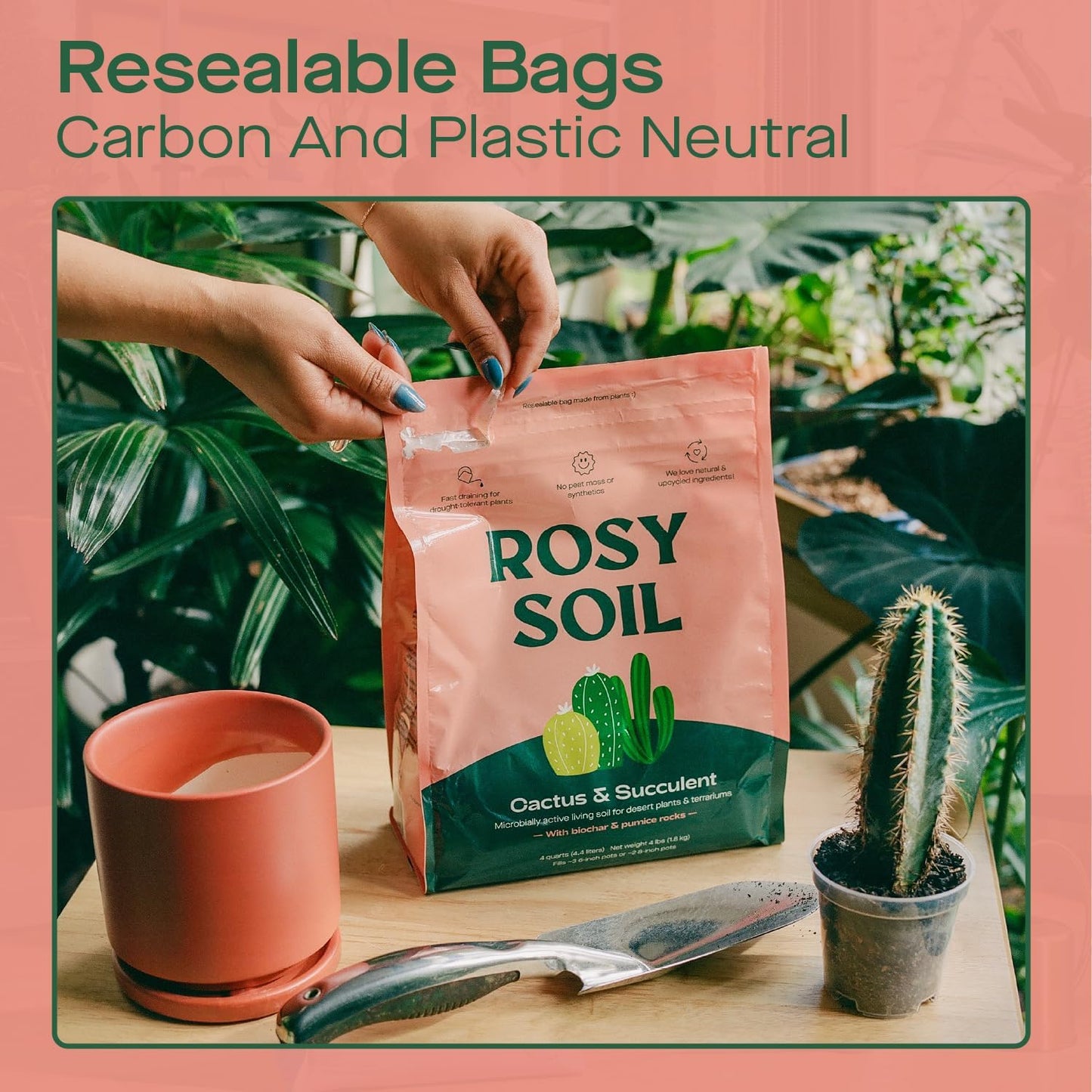 Rosy Soil Cactus and Succulent Potting Soil Mix (4 qts) + Indoor Potting Soil (8 qts) - Peat Free House Plant Soil - Potting Soil Mix for Indoor Plants