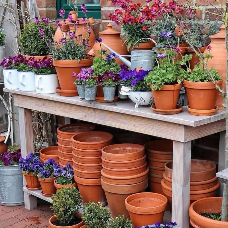 Fcacti 10 inch Large Terra Cotta Plant Saucers, Round Pot Drip Trays,Durable Thicker Clay Plant Tray Flower Pot Saucers for Outdoors Indoors Flower Pots and Planters,Pack of 3