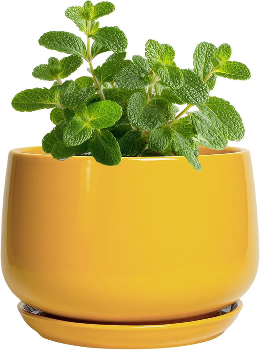 G EPGardening 4 Inch Ceramic Planter - Succulent Pots for Plants Indoor Outdoor, Small Plant Pots with Drainage Hole & Saucer, Round Planter, Modern Flower Pot, Home Decor, Plant Lover Gift, Yellow
