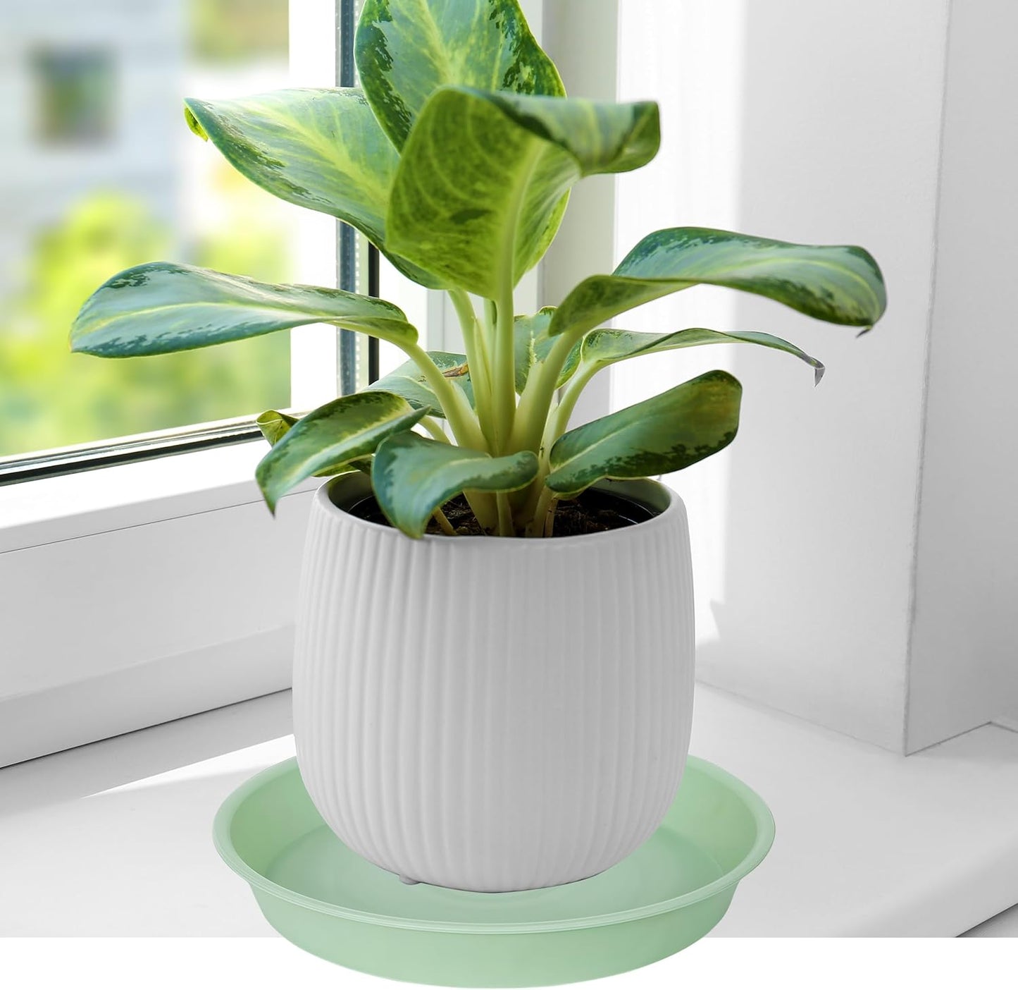 2 Pack of 14 inch Plant Saucers Bird Bath Bow Round, Plastic Plant Saucer Tray for Pots, White Planters for Indoor Plants, Plant Trays for Planter 12-15" (14", Light Green)