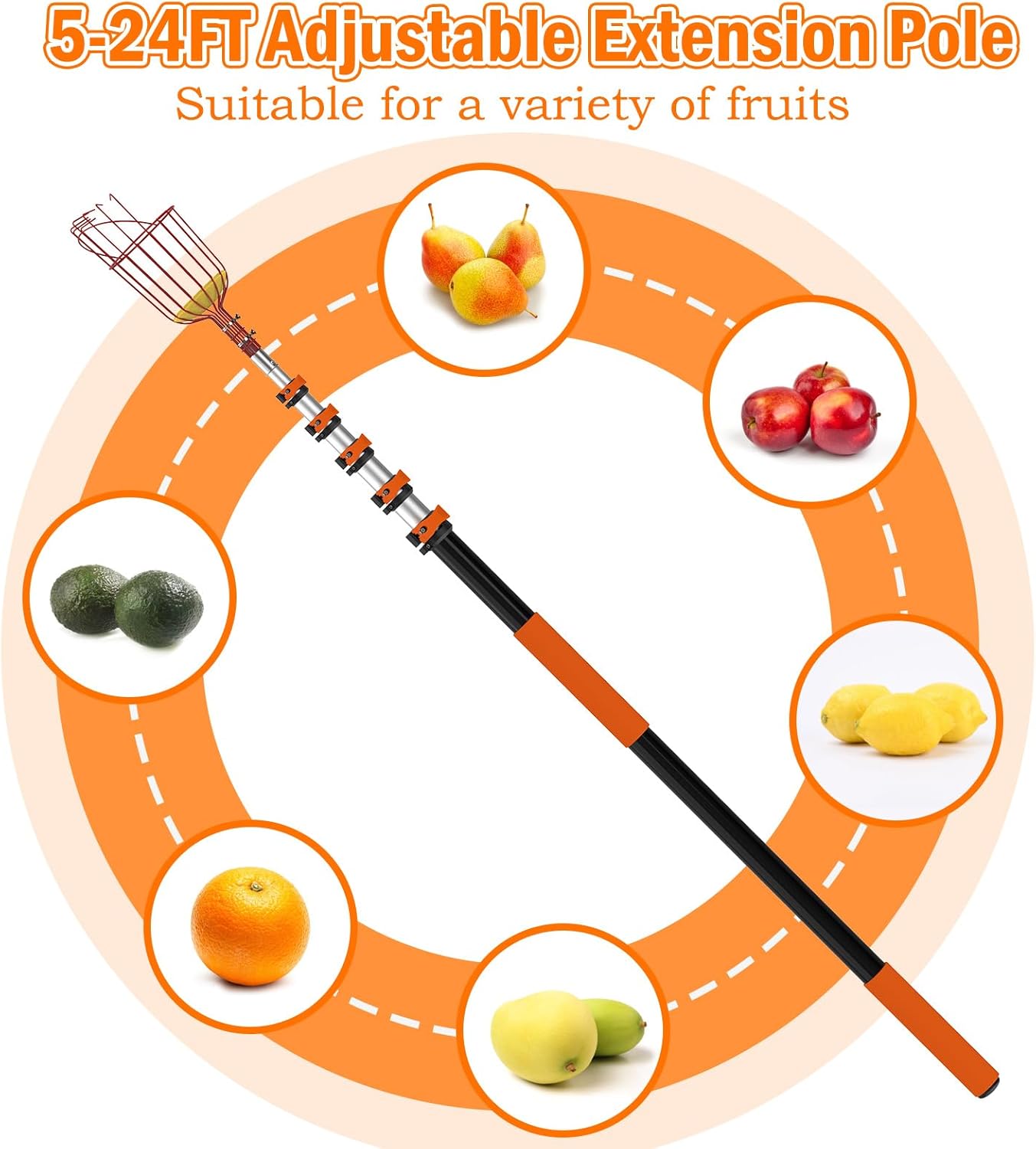 SISIUPASSIE 30FT Reach Fruit Picker, Apple Picker Pole with Basket Telescoping Tool for Apple Lemon Orange Mango Avocado Fruit Tree Picking