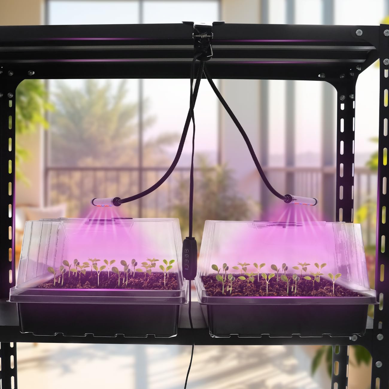 Seed Starter Tray with Grow Lights – 4 Pack Seedling Trays with 5" Humidity Domes & 4 LED Light Heads, Adjustable Timer, Full Spectrum for Indoor Germination, Herbs, Vegetables, Flowers