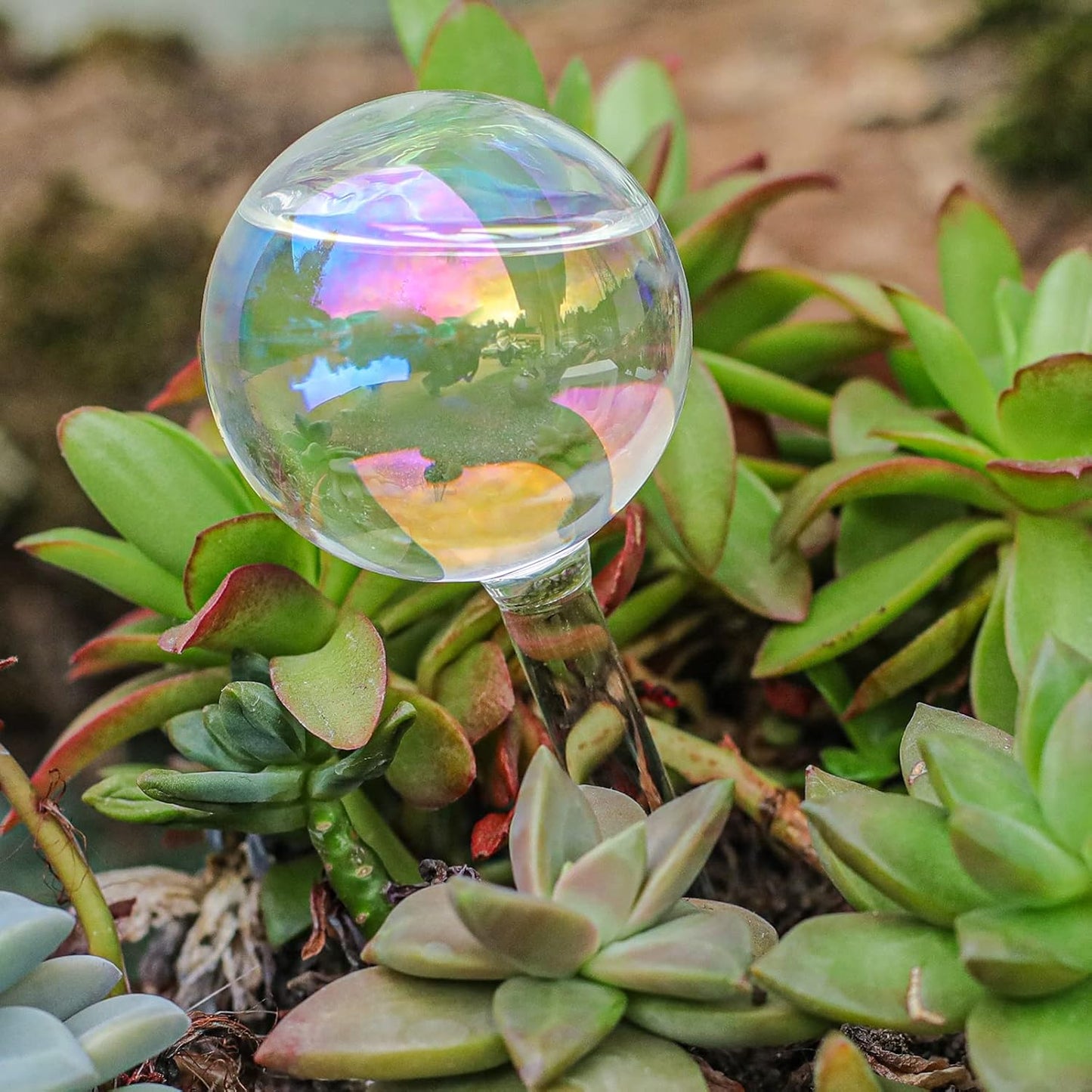3Pcs Small Watering Globes Colorful Small Plant Watering Globes Plant Watering Globes Hand Blown Glass Indoor Plant Watering Globes