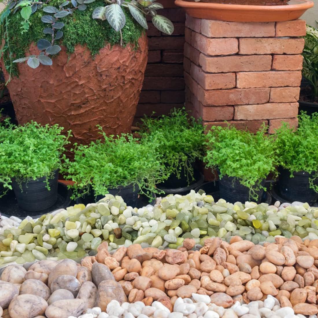 10LB Succulent and Cactus Pebbles, 1/5 Inch Jade Natural Decorative Polished Stones, River Rocks for Plants, Vases and Outdoor Gardening,Green