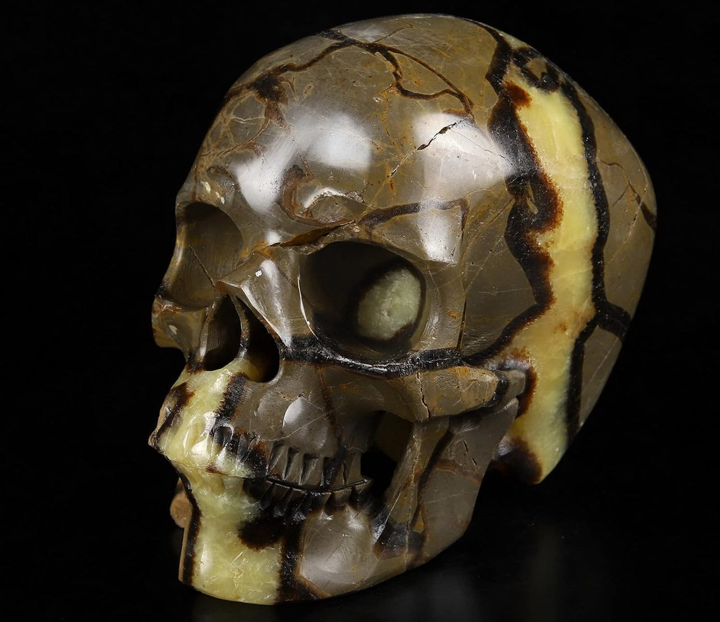 Skullis 5.0" Dragon Septarian Stone Hand Carved Crystal Skull, Super Realistic, Crystal Healing, Hand Carved Gemstone Fine Art Sculpture, Reiki Healing Stone Statue.1133 Z8