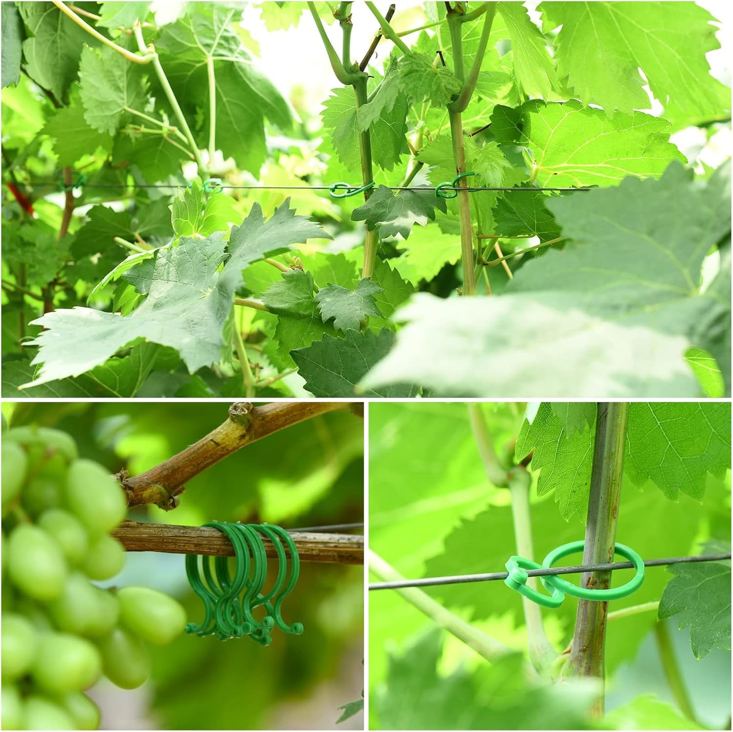 80 Feet Soft Plant Ties - Green Twist Ties with 20 PCS Clips, Gardening Supplies for Plants & Home Organization - 3mm Diameter