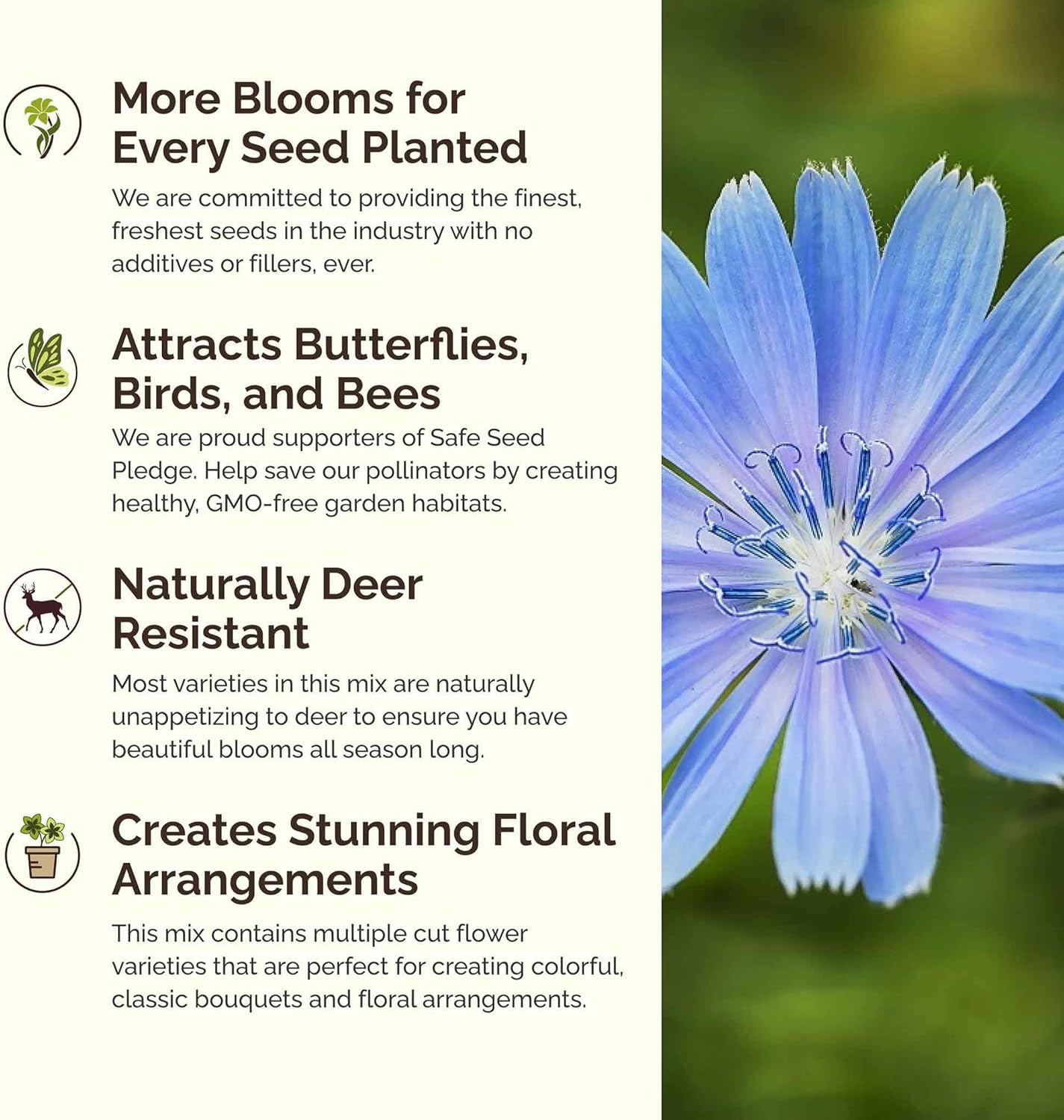 Eden Brothers Singin The Blues Wildflower Mixed Seeds for Planting, 1 lb, 480,000+ Seeds with Blue Flax, Lupine, Chicory | Attracts Pollinators, Plant in Spring or Fall, Zones 3, 4, 5, 6, 7, 8, 9, 10