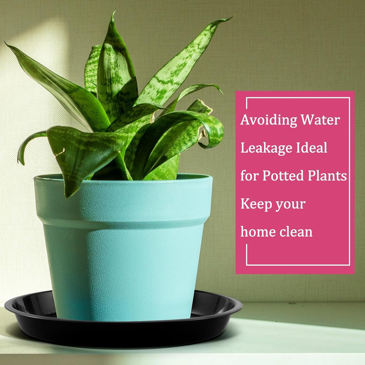 Eccliy 6 Pack Plastic Plant Saucer Heavy Duty Planter Saucers Large Plant Pot Plastic Water Trays for Indoors and Outdoors Flower Drip(14 Inch,Black)