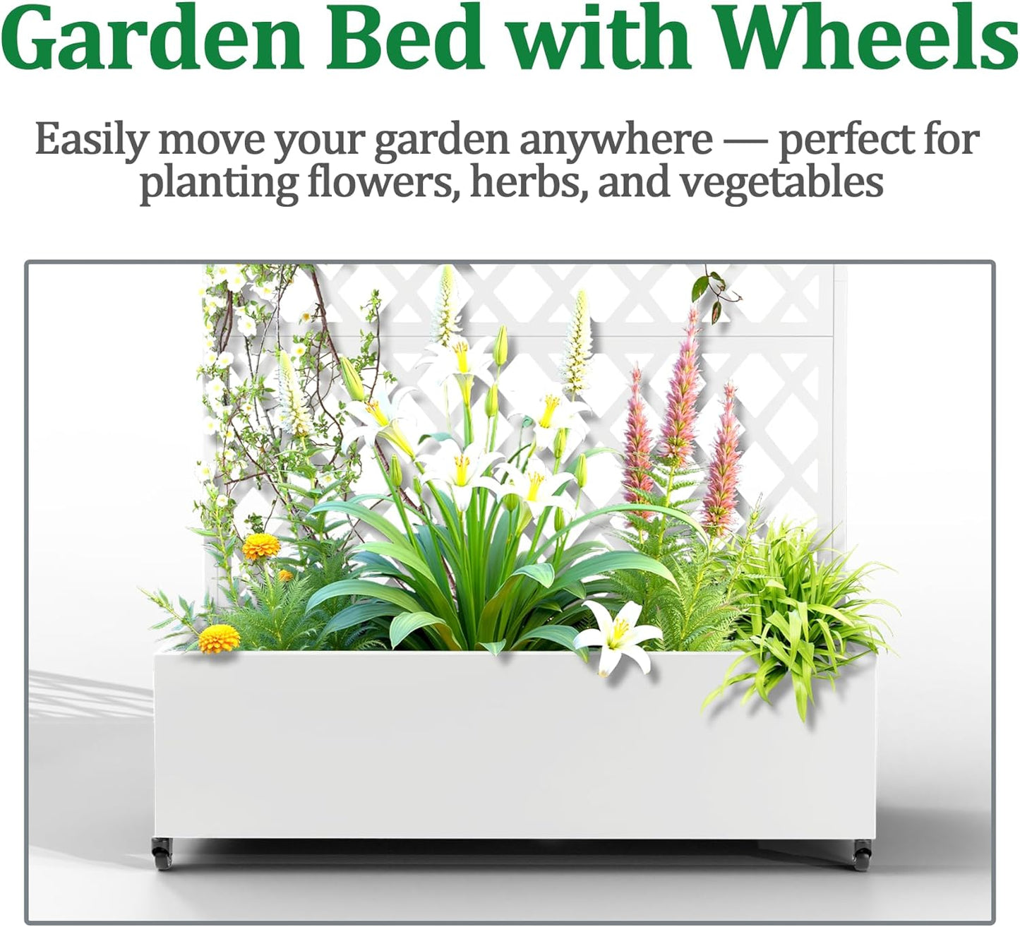 Metal Raised Garden Bed with Trellis and Wheels, 2 in 1 Trellis with Planter Box & Privacy Screen for Climbing Plants, Outdoor Standing Flower Beds with Drainage Holes, 35.4"L x 15.7"W x 70.9"H, White