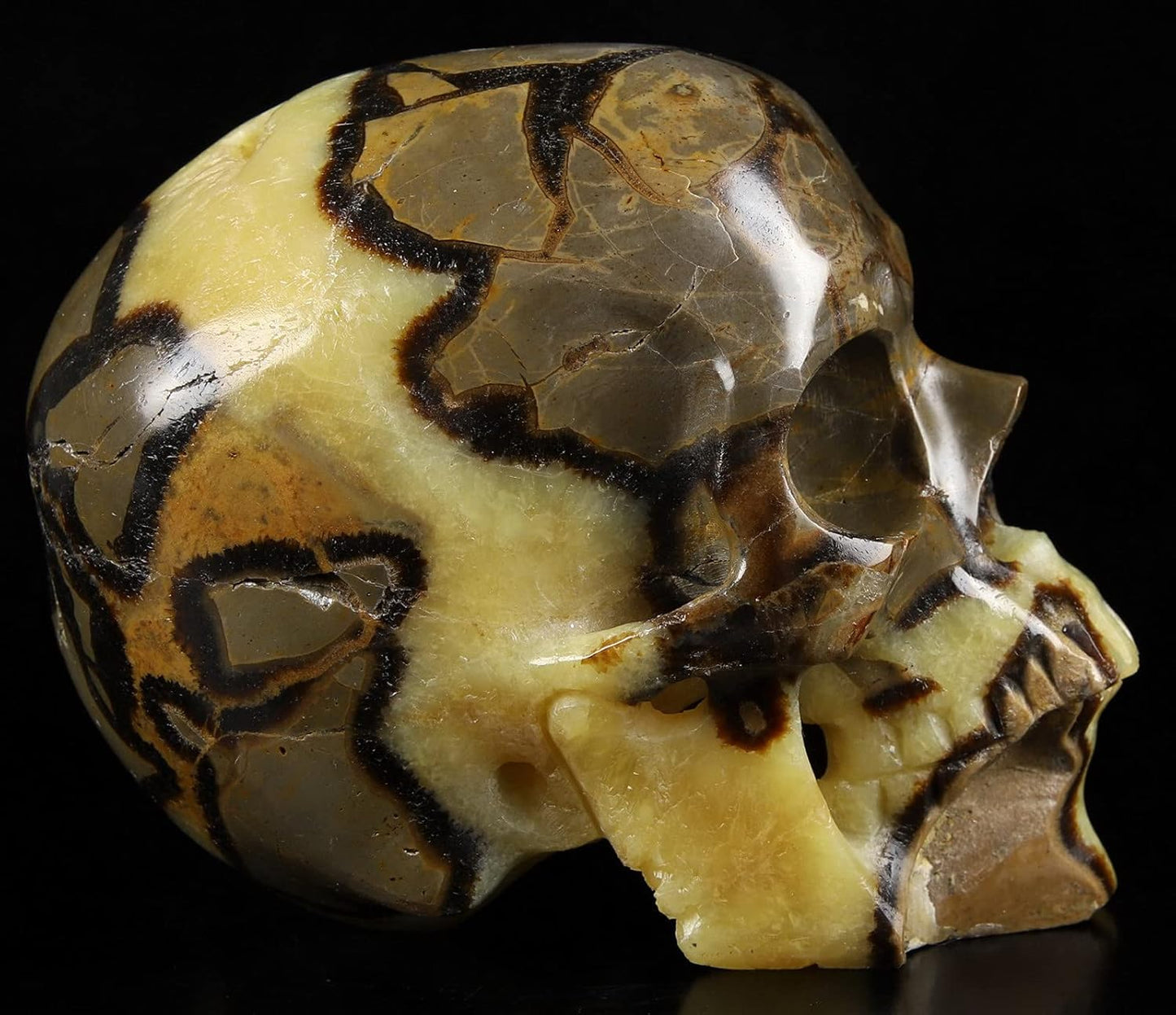 Skullis 5.0" Dragon Septarian Stone Hand Carved Crystal Skull, Super Realistic, Crystal Healing, Hand Carved Gemstone Fine Art Sculpture, Reiki Healing Stone Statue.1133 Z8