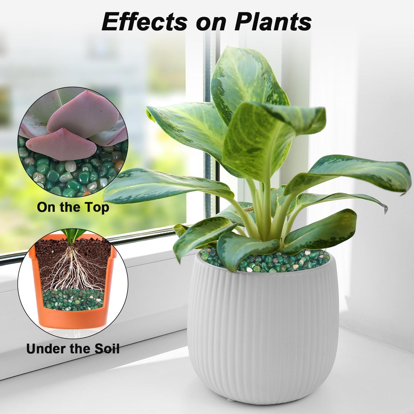 Rocks for Plants Indoor,Landscaping Pebbles, River Rocks Decorative Ornamental Pebbles Garden Landscaping Stones, DIY Smoothed Rocks for Potted Plant Resin Art Vase Fillers Aquarium Gravel Rocks