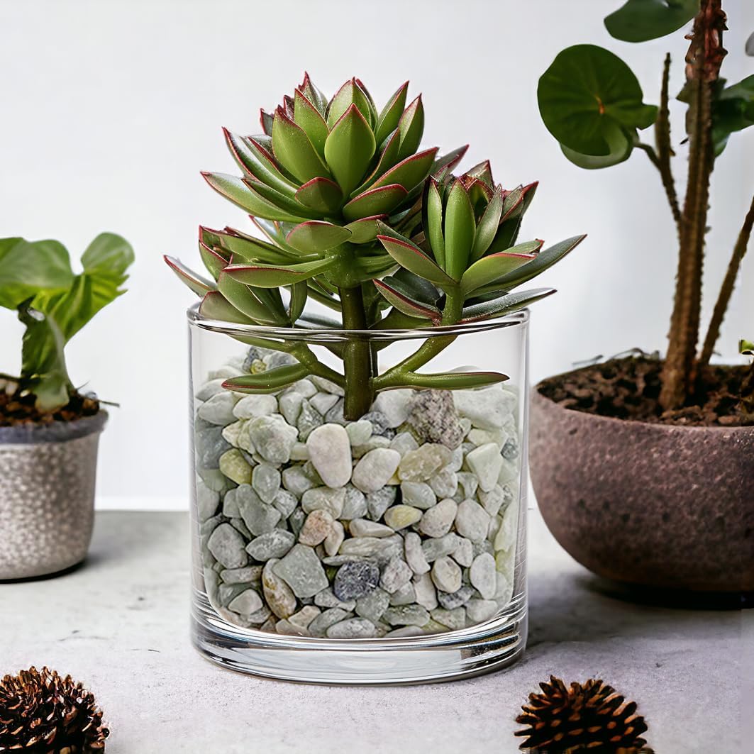 HappyFiller Small Rocks Decorative Aquarium Gravels Tiny Gravel for Fish Turtle Tank,Soil Cover, Indoor Outdoor Garden Succulent Plants Top Dressing,Zen Garden,Vase Fillers,2 LB,Light Green Mix