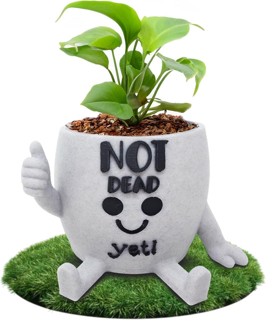 Funny Face Indoor Head Planter Pot, 3D Printed, Unique Small Succulent Flower Pot, Cute Cactus Planter, Indoor Home Decor, Office Desk Plant Pot, Novelty Gardening Gift Set