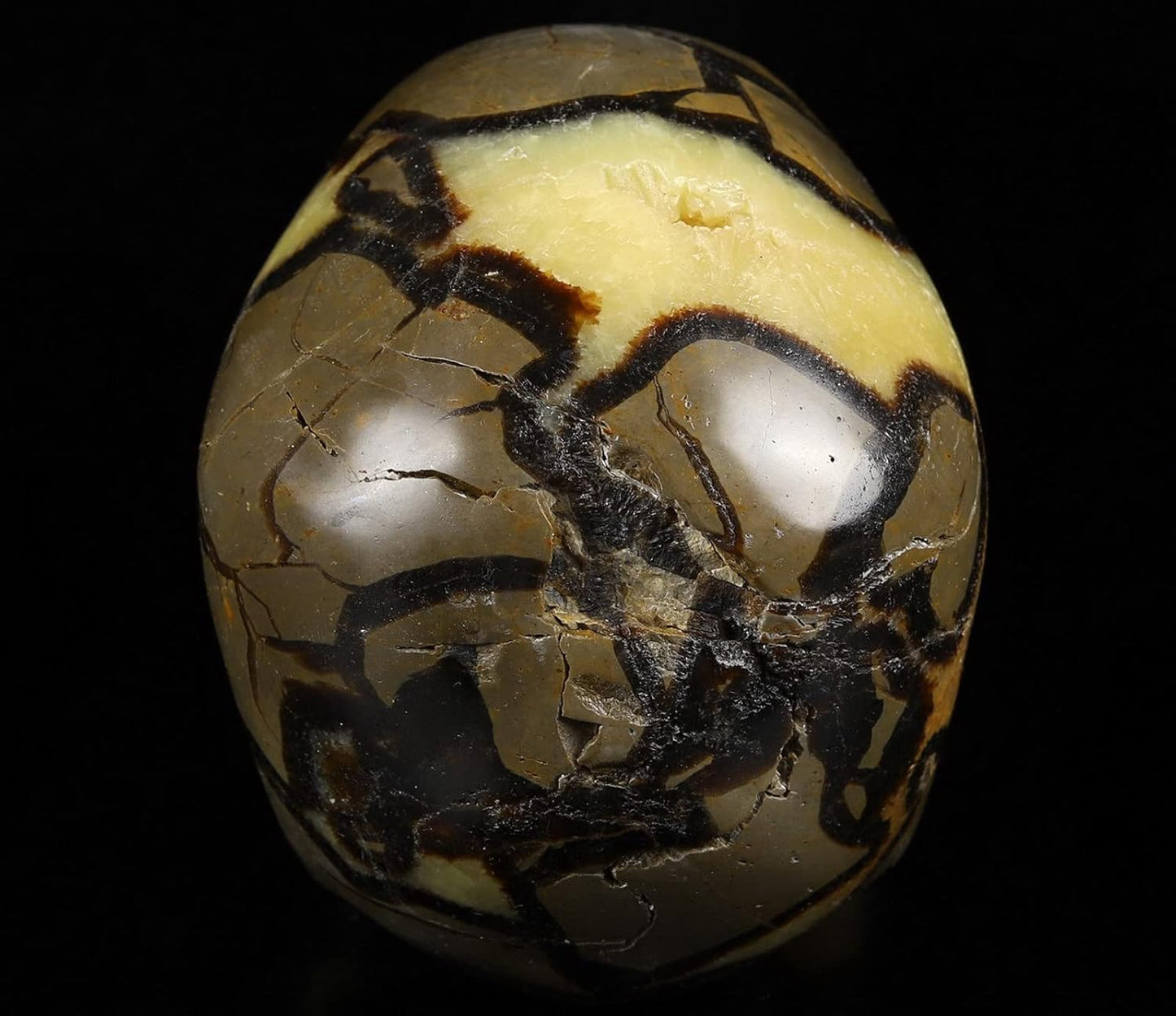 Skullis 5.0" Dragon Septarian Stone Hand Carved Crystal Skull, Super Realistic, Crystal Healing, Hand Carved Gemstone Fine Art Sculpture, Reiki Healing Stone Statue.1133 Z8