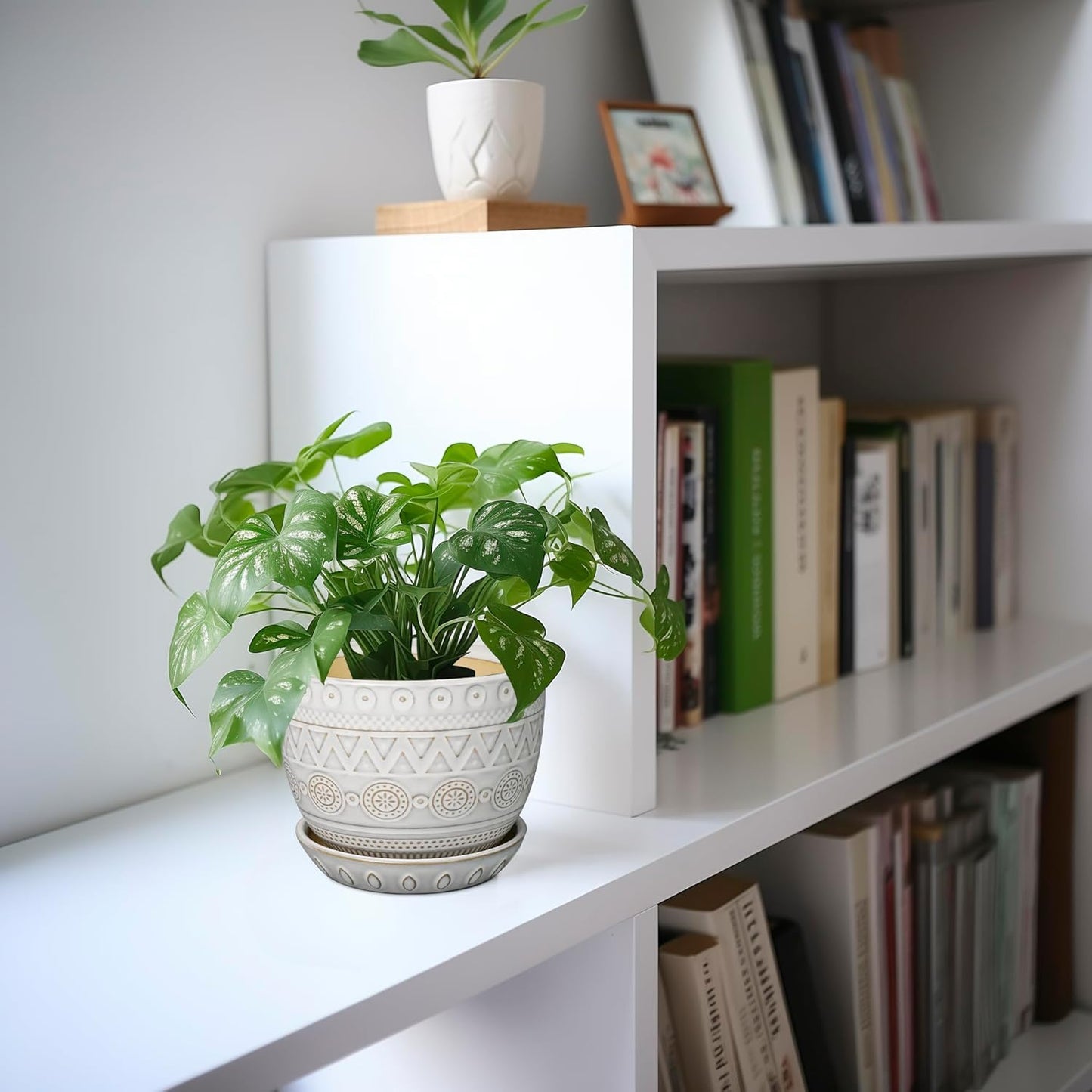 G EPGardening Ceramic Planters for Indoor Plants - 5 Inch Plant Pot for Outdoor Plants Succulent Planter with Drainage Hole and Saucer Flower Pot for Room Decor White