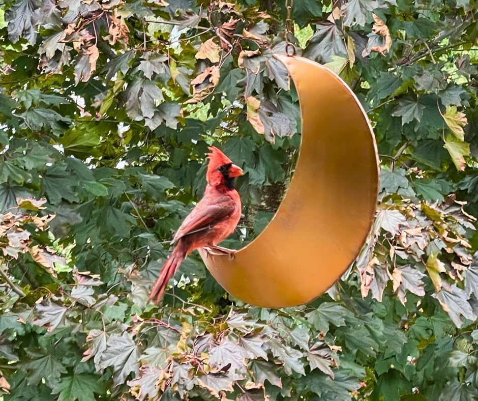 Hanging Moon Bird Feeder – Unique Metal Bird Feeders for Outdoors, Antique Gold, Rust-Resistant, Drain Holes – Wild Bird Feeder for Bluebirds, Cardinals, Finches, and Backyard Birdwatching