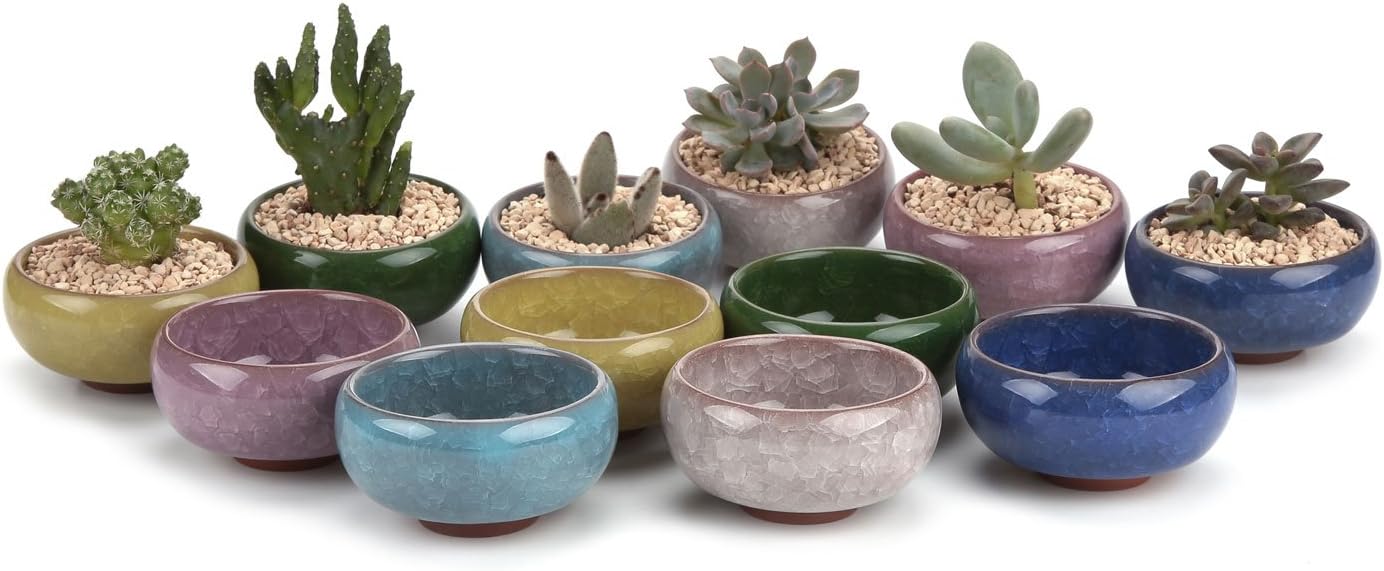 T4U 2.5 Inch Small Ceramic Succulent Planter Pot with Drainage Hole Set of 12, Ice Crack Glaze Plant Container for Cactus, Plant Lover Gifts for Women Mom Aunt Home Office Decor