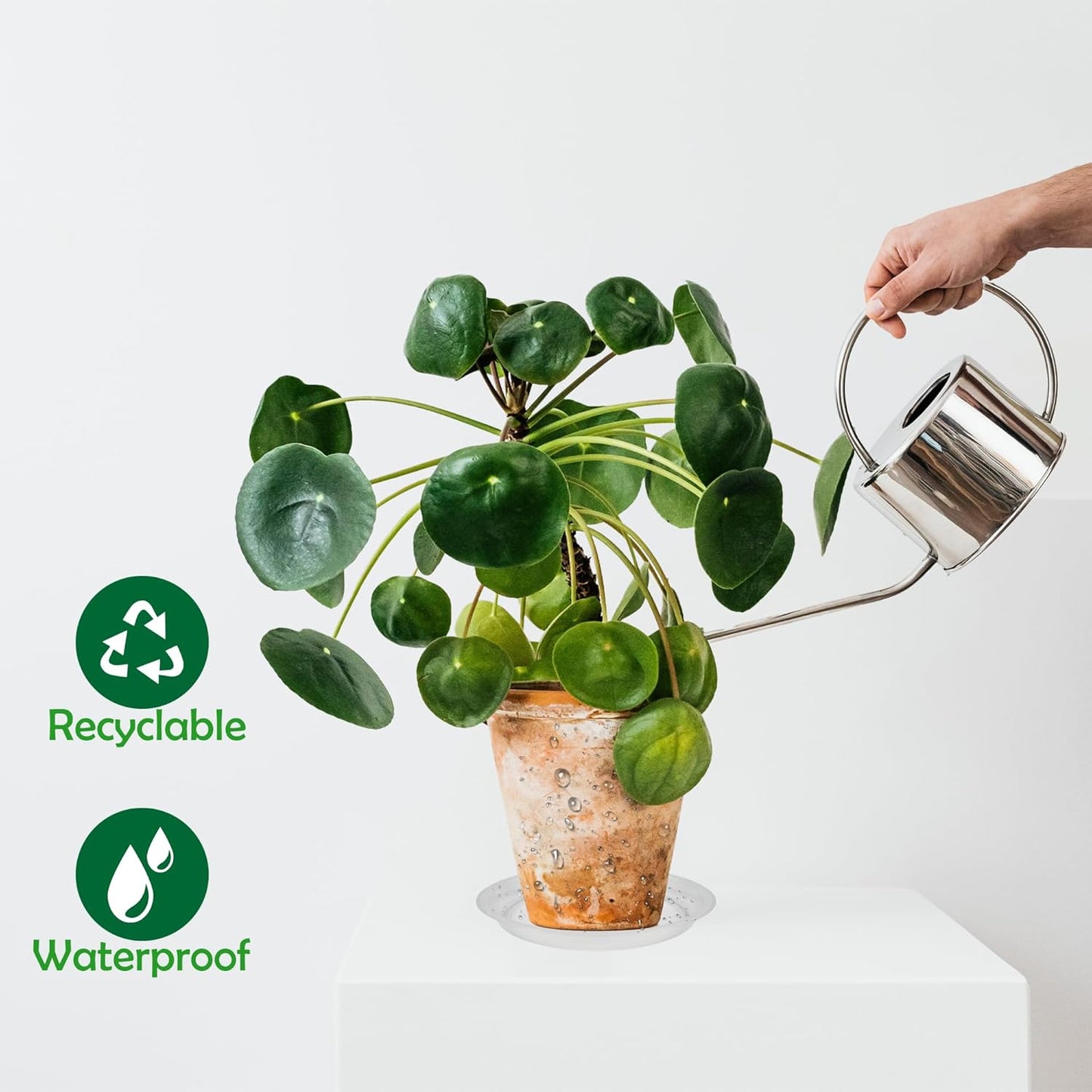 12 Pack 10 Inch Round Plant Saucers for Less 8.4 Inch Pot Indoors Outdoors Plant Trays for Pots Planter Saucer Plastic Plant Drip Tray Planter Water Tray for Potted Plants(Clear, 10"(12pcs))