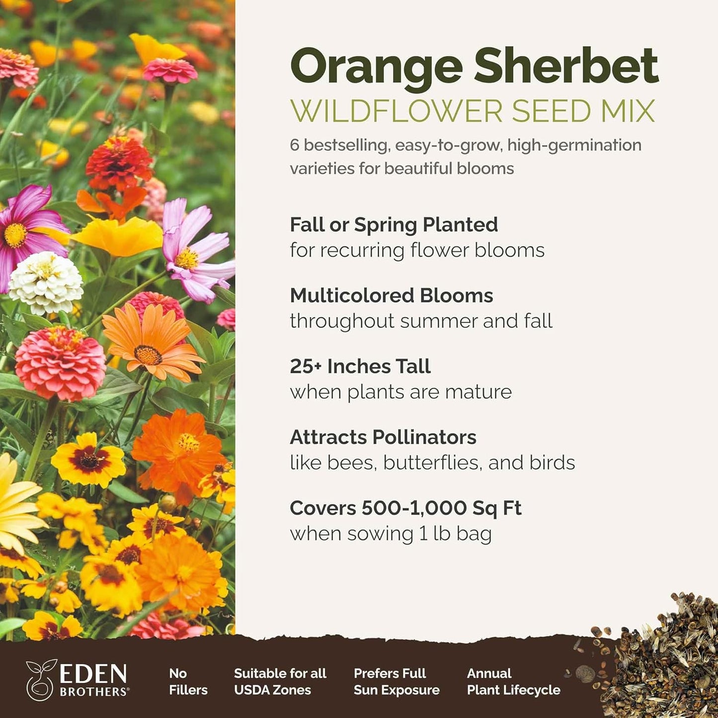Eden Brothers Orange Sherbet Flower Mixed Seeds for Planting, 1 lb, 480,000+ Seeds with Cosmos Picotee, Bright Lights | Attracts Pollinators, Plant in Spring or Fall, Zones 3, 4, 5, 6, 7, 8, 9, 10