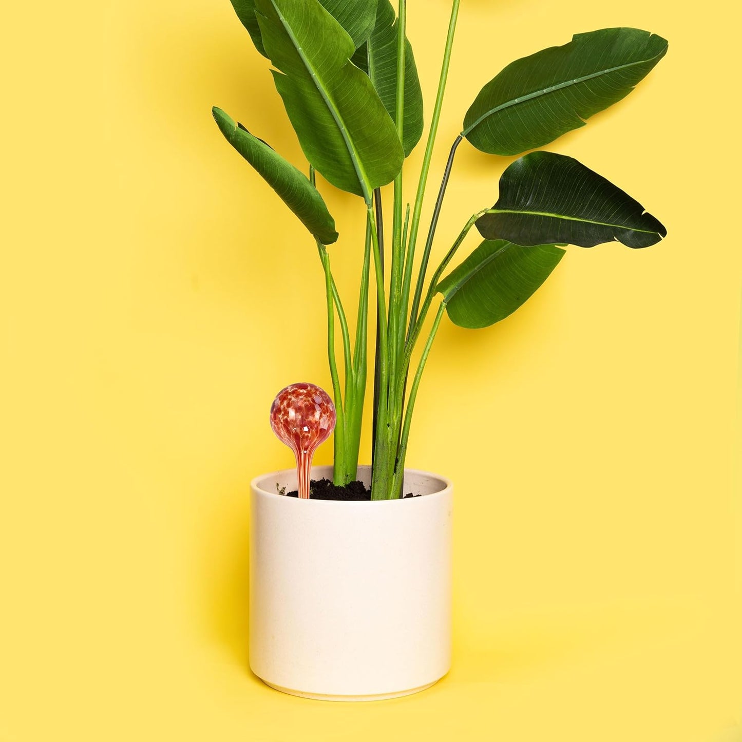 Blazin Indoor Plant Watering Globes | Automatic Self Water Bulbs | Aqua Water Globe | Decorative Hand-Blown Glass | 4pc Deluxe Set (Large)