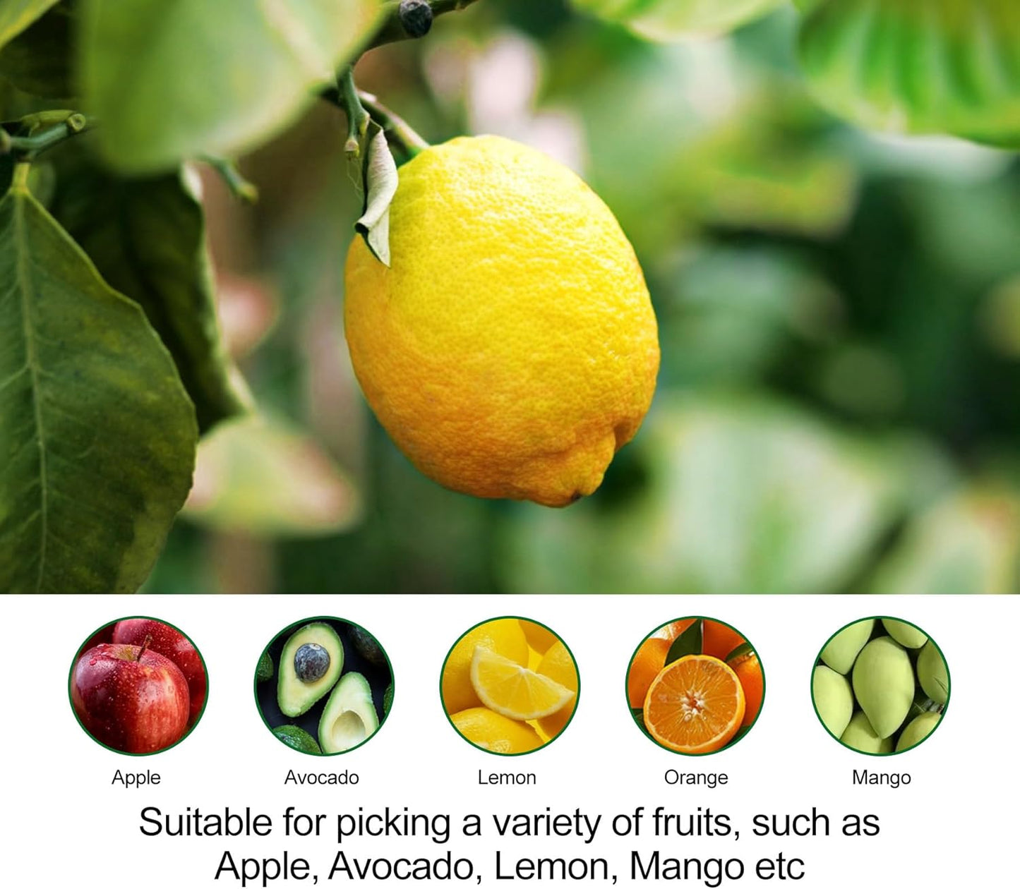 Fruit Picker Pole with Basket - 8.43FT(101Inch) Adjustable Fruit Picker with Basket, Orange Picker, Fruit Picking Pole for Orange Apple Avocados Lemon, Black